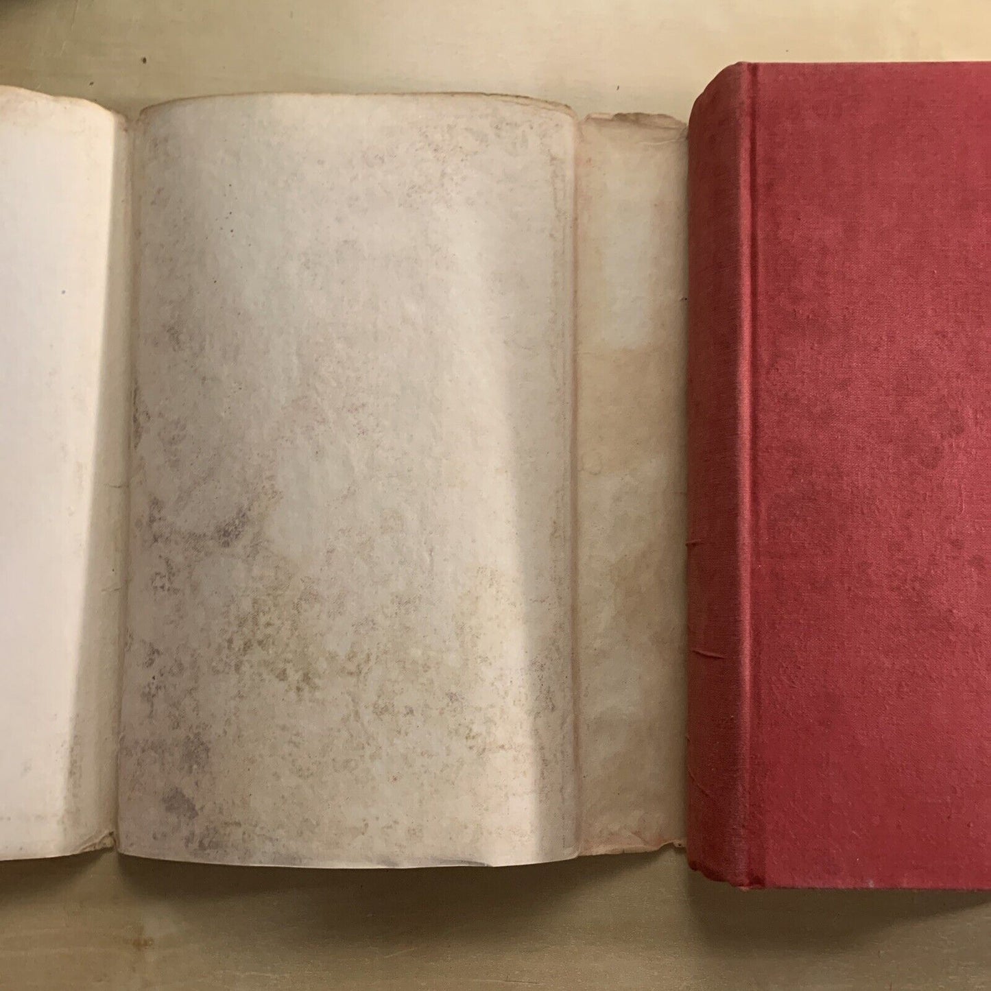 THE LORDS OF ROMAGNA - ROMAGNOL SOCIETY and the origin of the signorie. Larner #