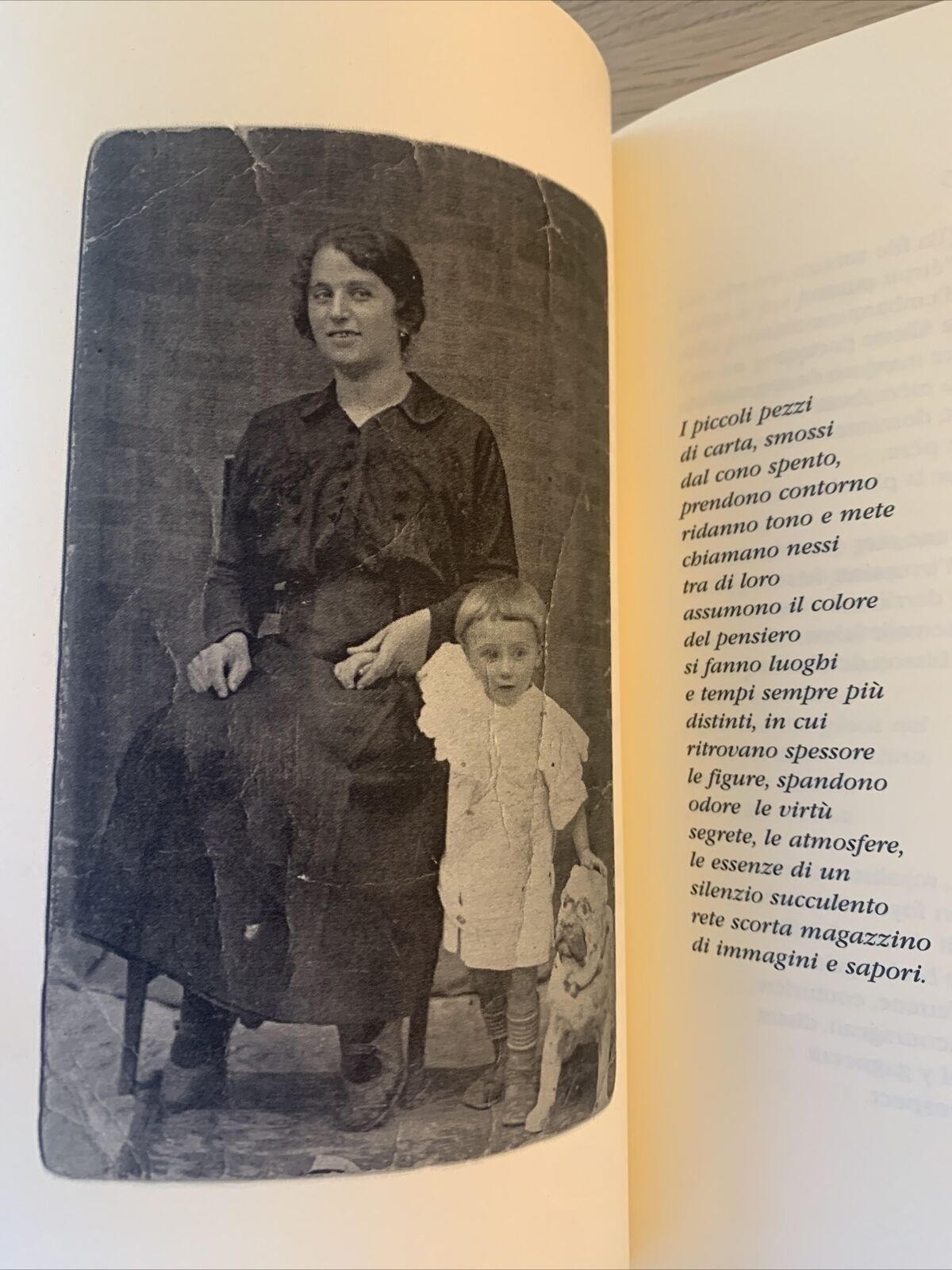 CHAMBRE NOIRE - Paolo Ruffilli. Grammages. L'amourier 2006