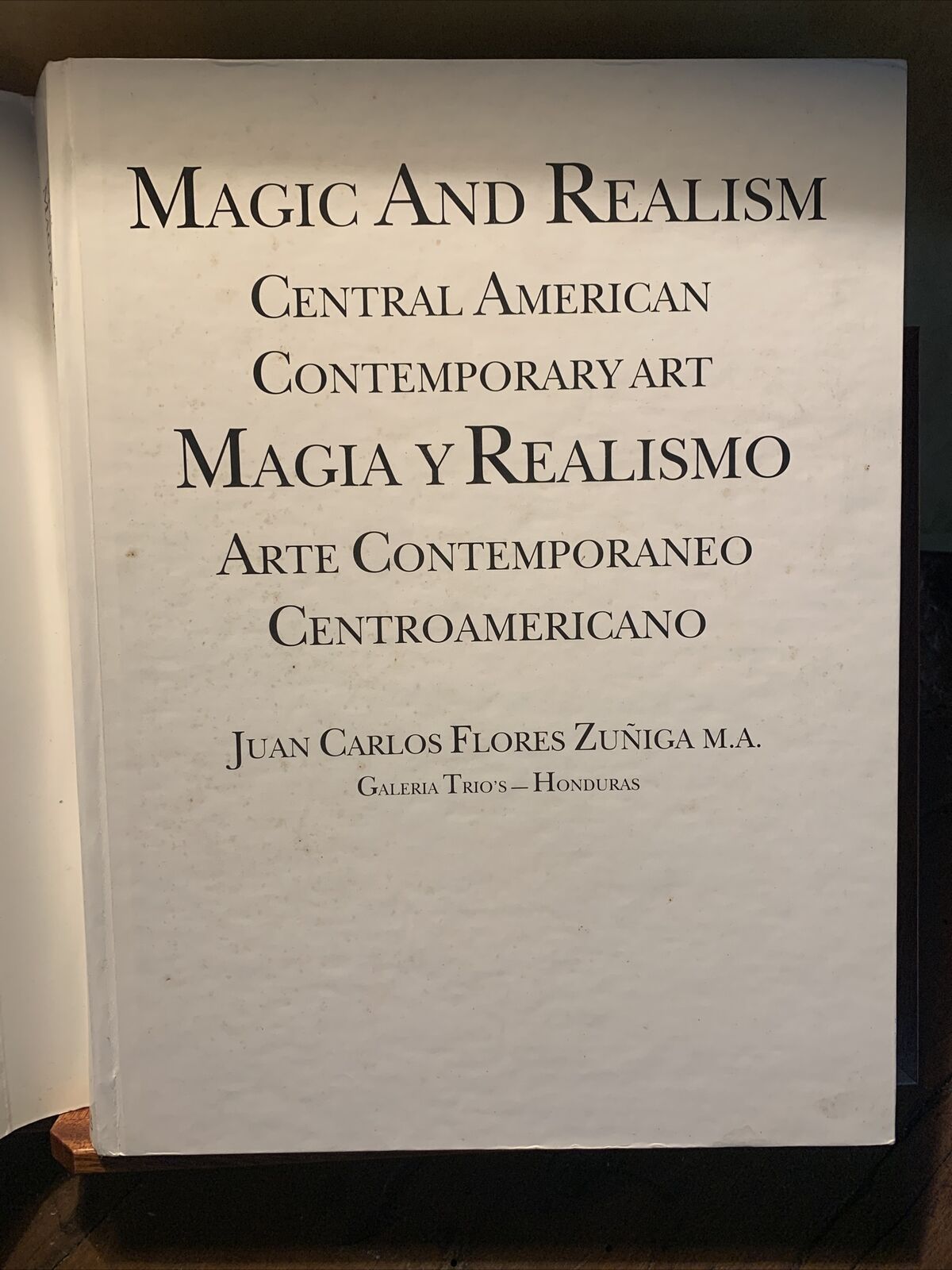 MAGIC AND REALISM, Central American Contemporary Art, Juan Carlos Flores Zuñiga