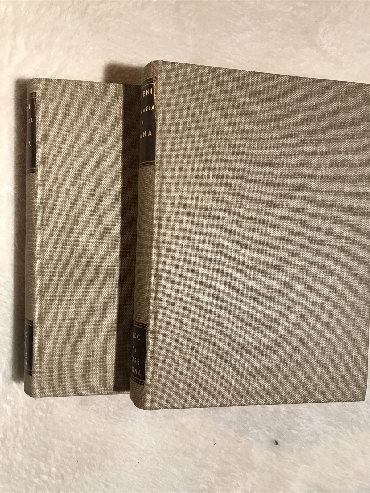 BIBLIOGRAFIA STORICO - RAGIONATA DELLA TOSCANA, A. Forni, D. Moreni 2 voll. #