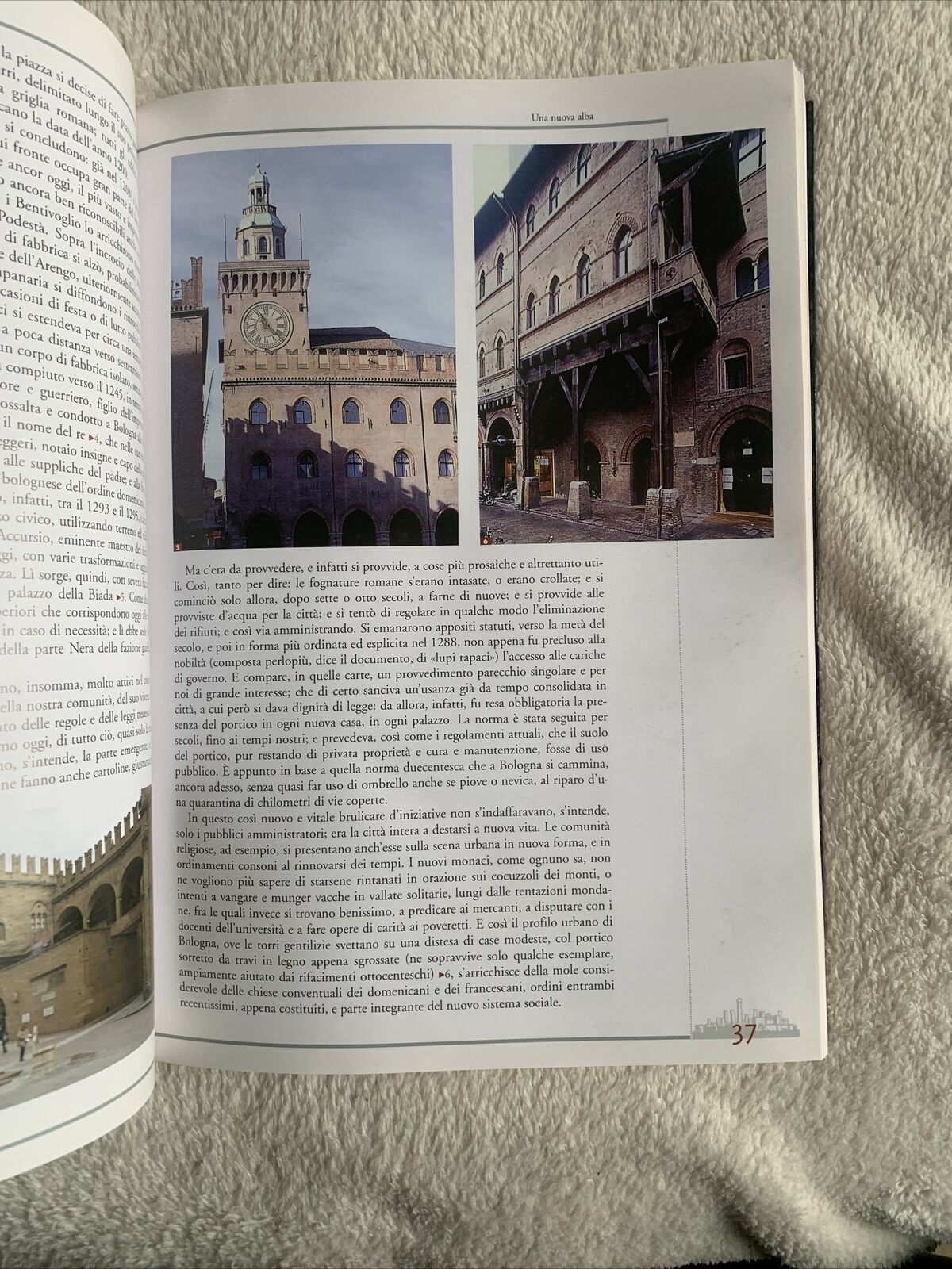 L'arte a Bologna - Eugenio Riccomini. Il Domani 2003