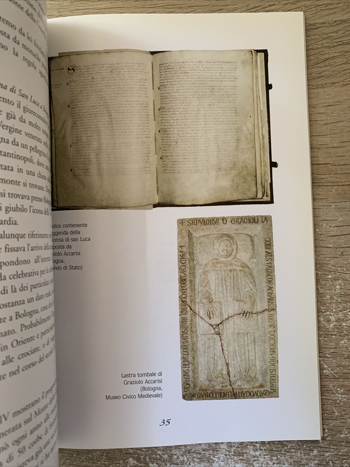 Il Museo della Beta Vergine di San Luca. Costa editore comune di Bologna 2004