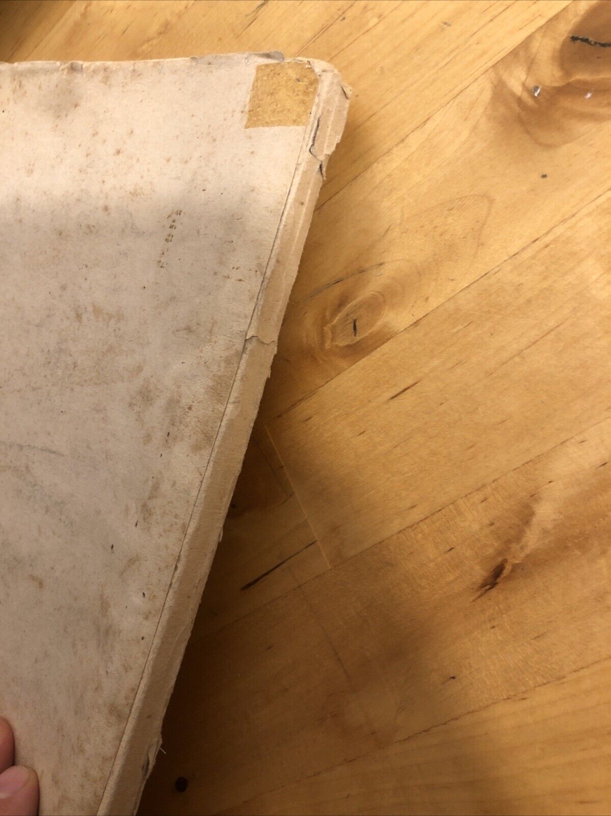 Edoardo Gelli pittore - Jacopo Gelli, 1934