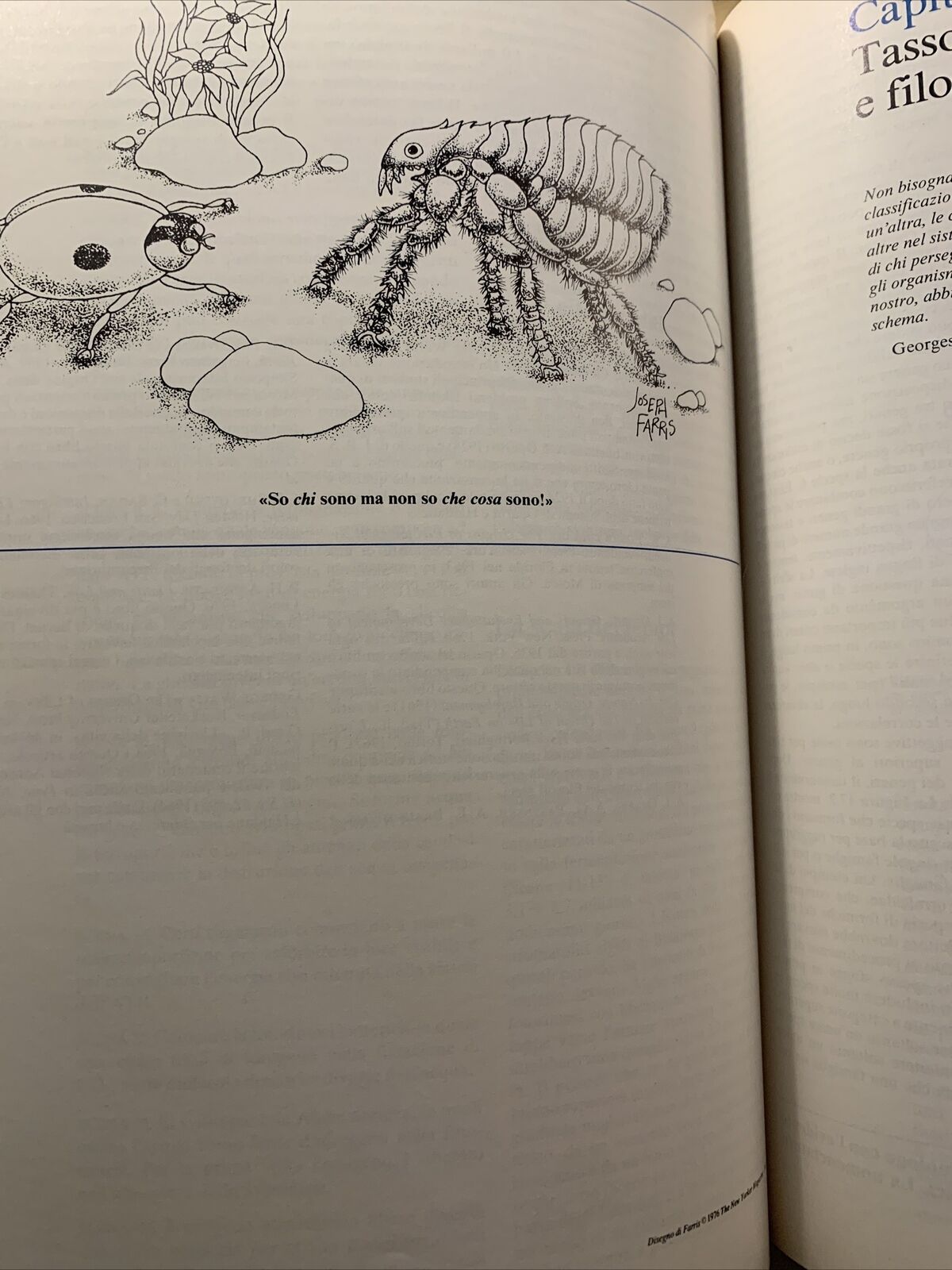 LA VITA cellule organismi popolazioni. AA VV zanichelli 1979 #