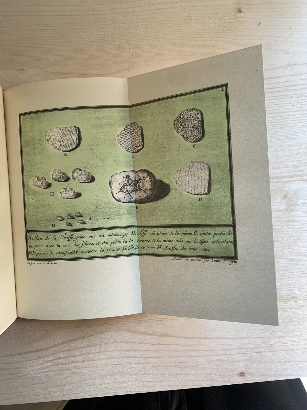 LETTRES SUR LES TRUFFES DU PIÉMONT Le Comte De Borch en 1780 - RISTAMPA 1974