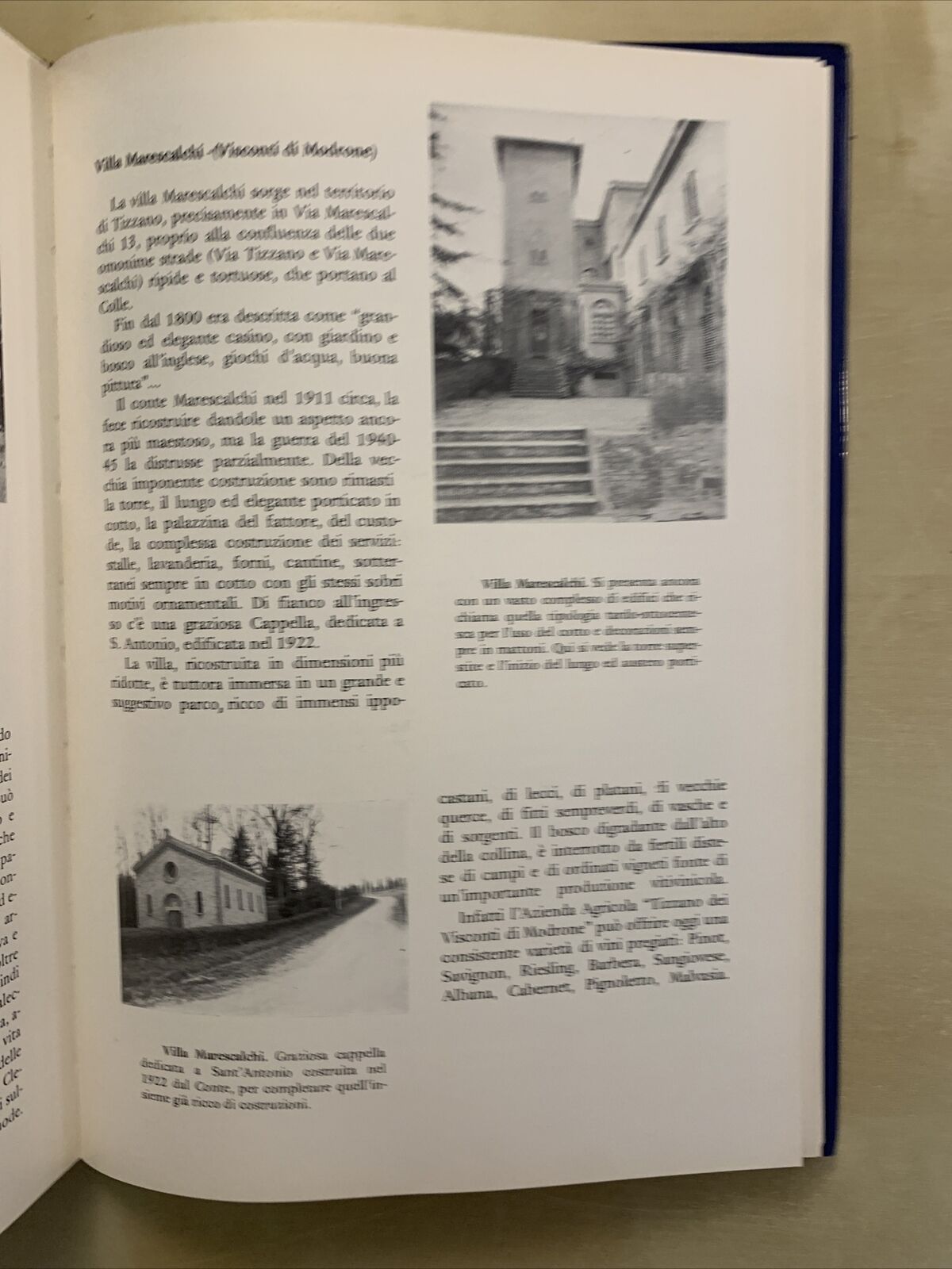 CASALECCHIO DI RENO, Percorsi e immagini della sua civiltà, Dalmonte Polvani #