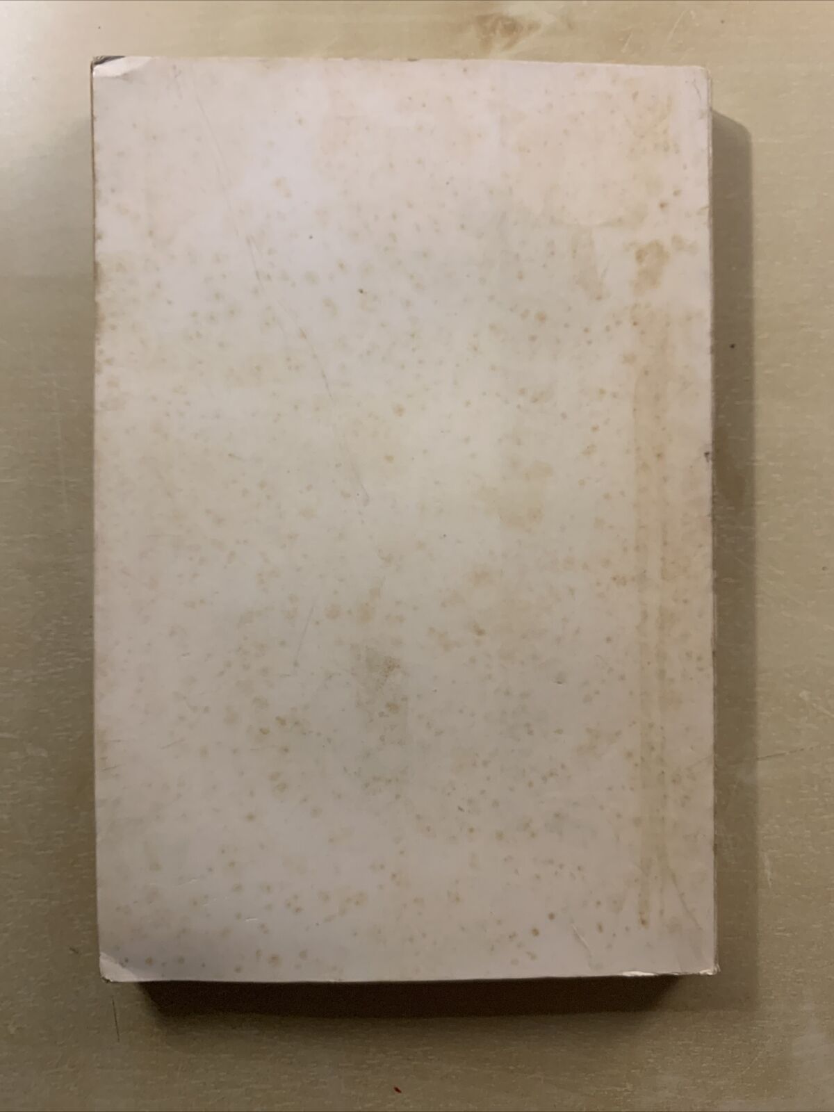 BREVE VIAGGIO IN CINA - Sergio Stocchi, Guastaldo editore 1966 #