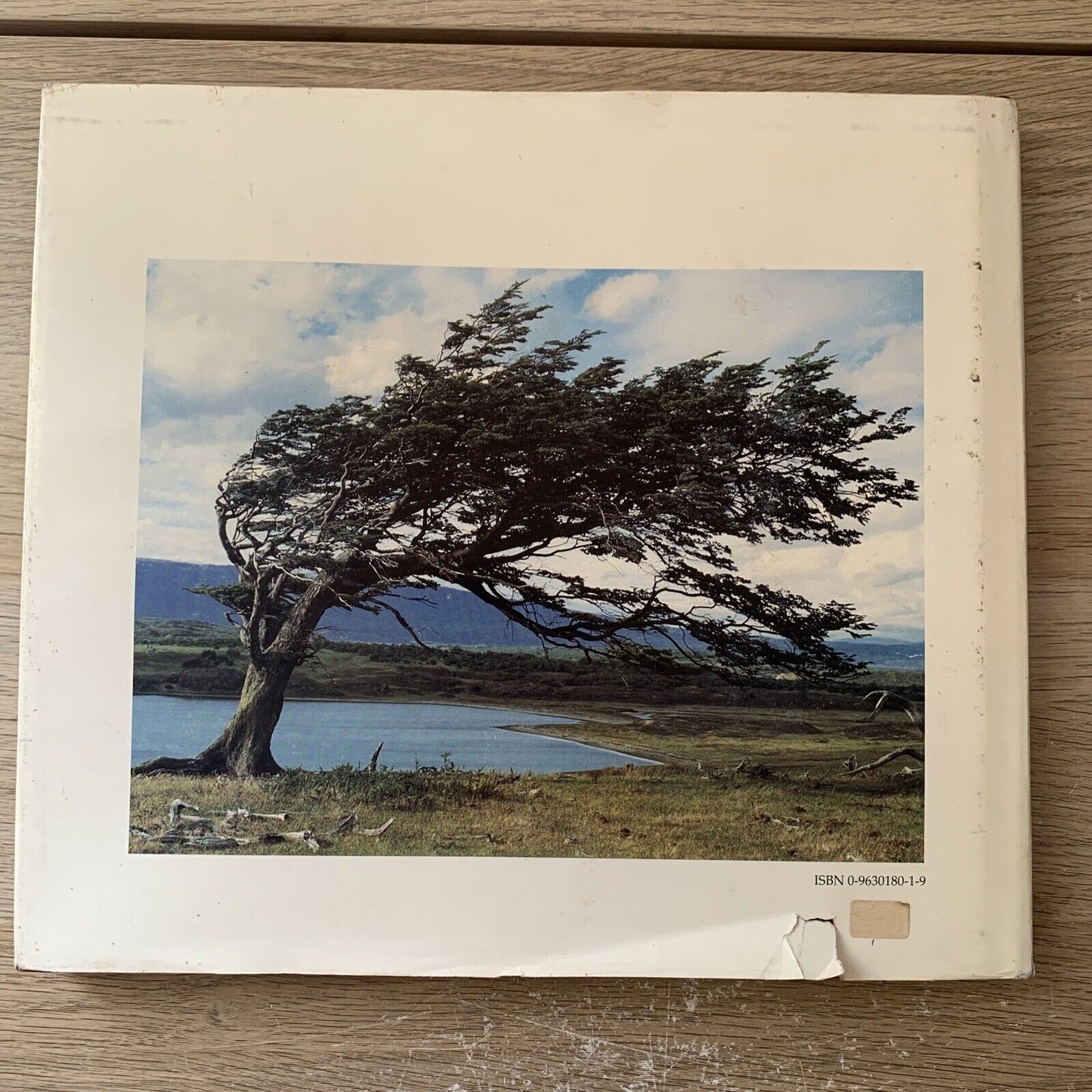 PATAGONIA WILDERNESS. - MARCELO D. BECCACECI BONNIE J. HAYSKAR