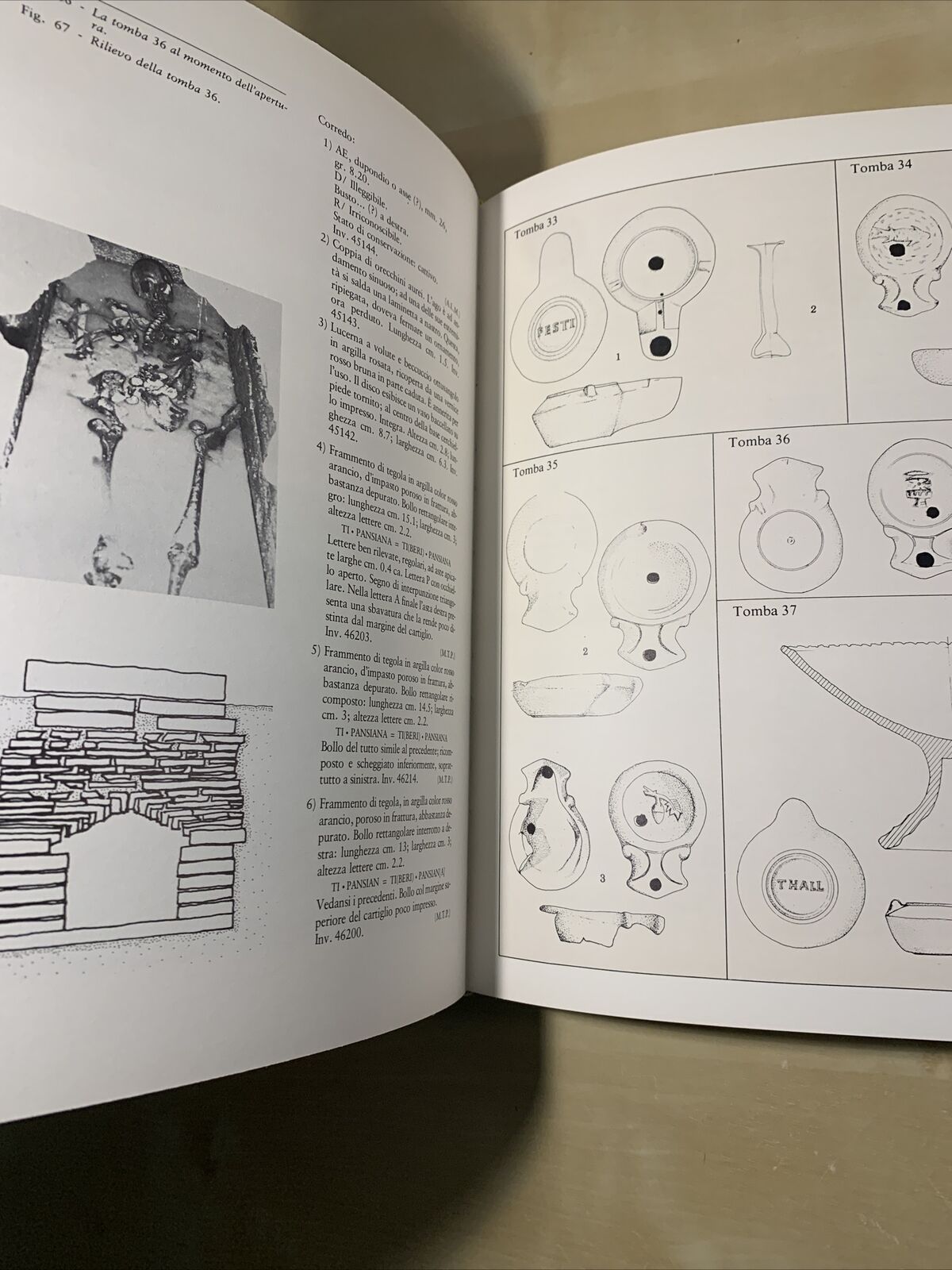VOGHENZA Una Necropoli di età romana nel territorio Ferrarese, 1984 AA.VV. #