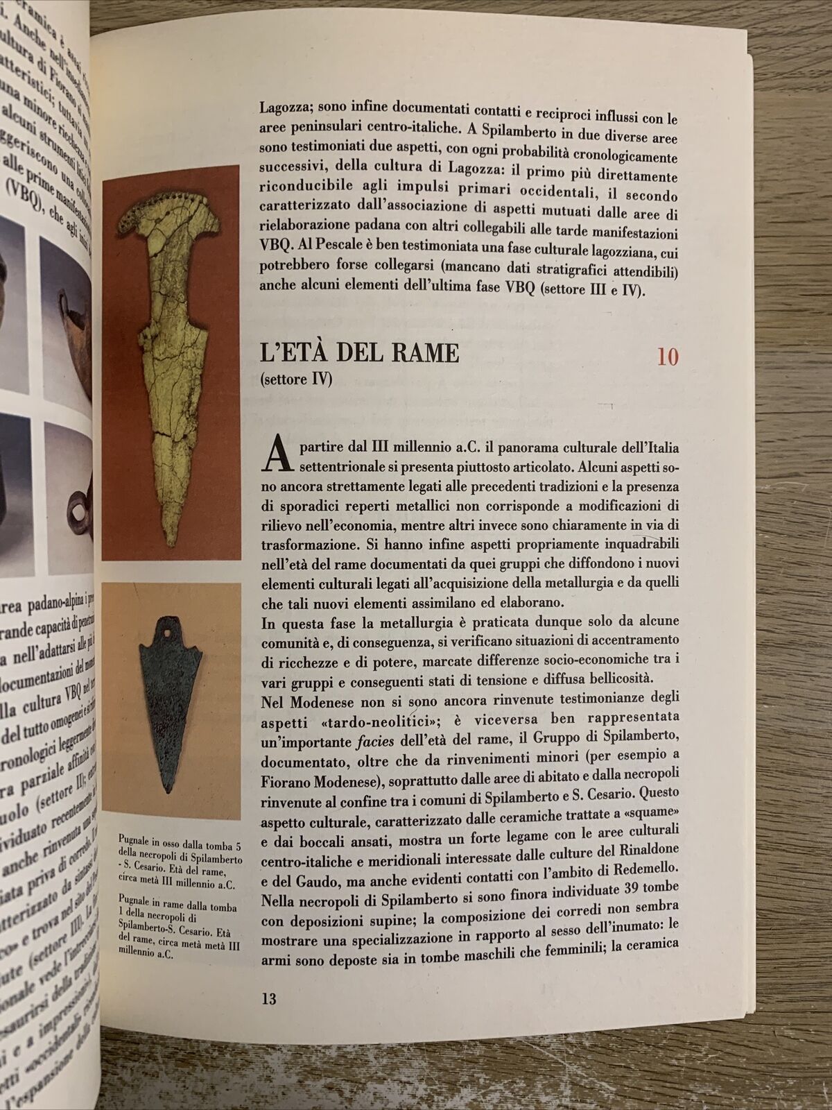 Museo archeologico etnologico di Modena. Comune di Modena