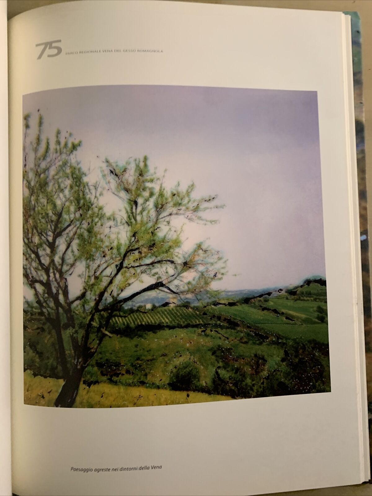 PAESAGGI INFEDELI - NINO MIGLIORI, DAMIANI 2008 #