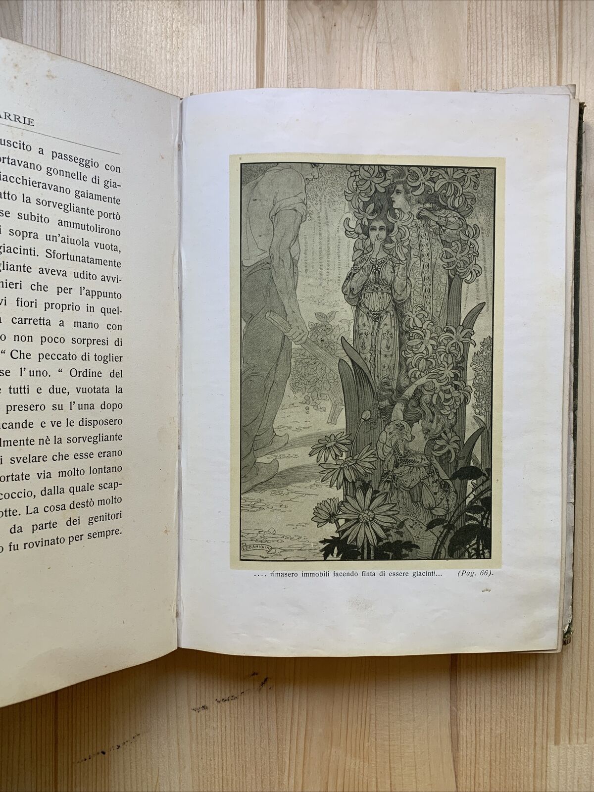 PETER PAN nei giardini di Kensington. Bemporad. Illustrazioni di Anichini #