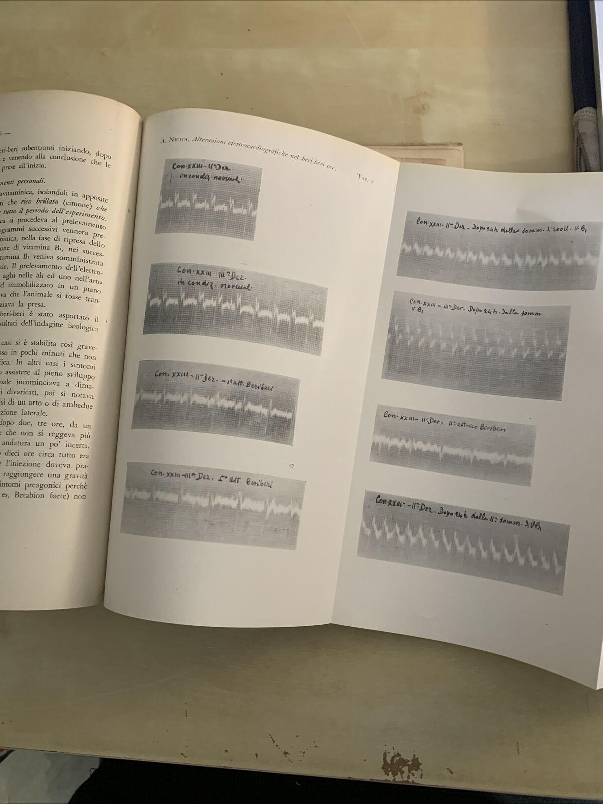 SCRITTI IN ONORE DI RAFFAELLO SILVESTRINI - FACOLTÀ MEDICO CHIRURGICA 1938