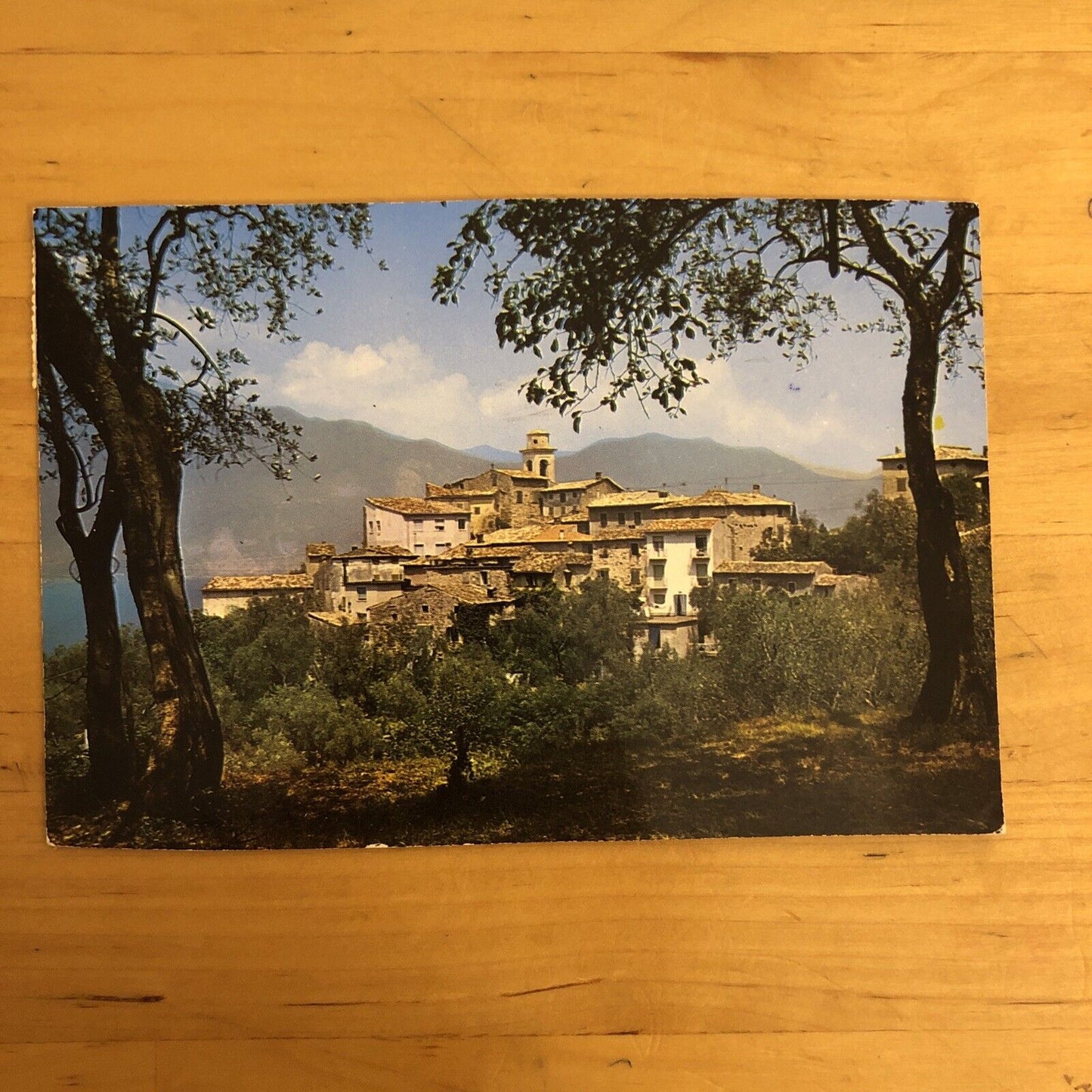 Cartolina LAGO DI GARDA - GARDASEE. VIAGGIATA