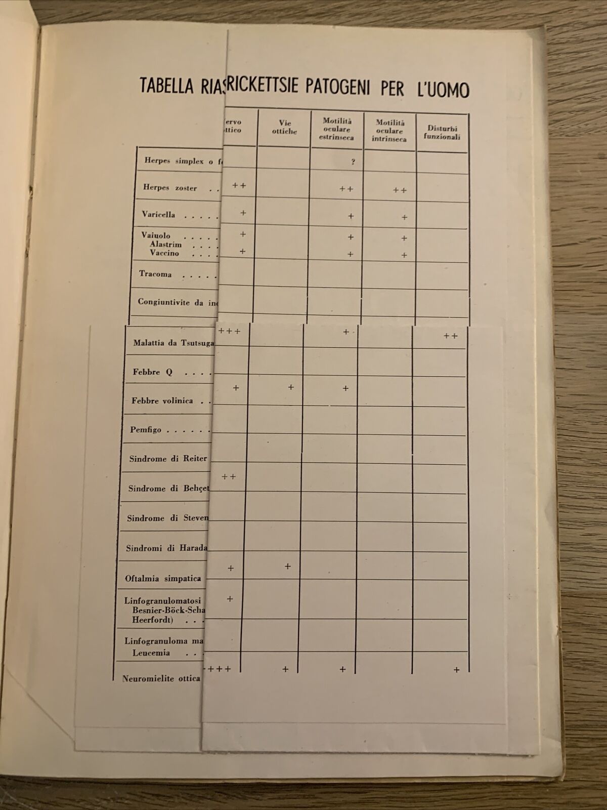 LE MANIFESTAZIONI OCULARI DELLE MALATTIE DA VIRUS E DA RICKETTSIE. CAVARA BIETTI