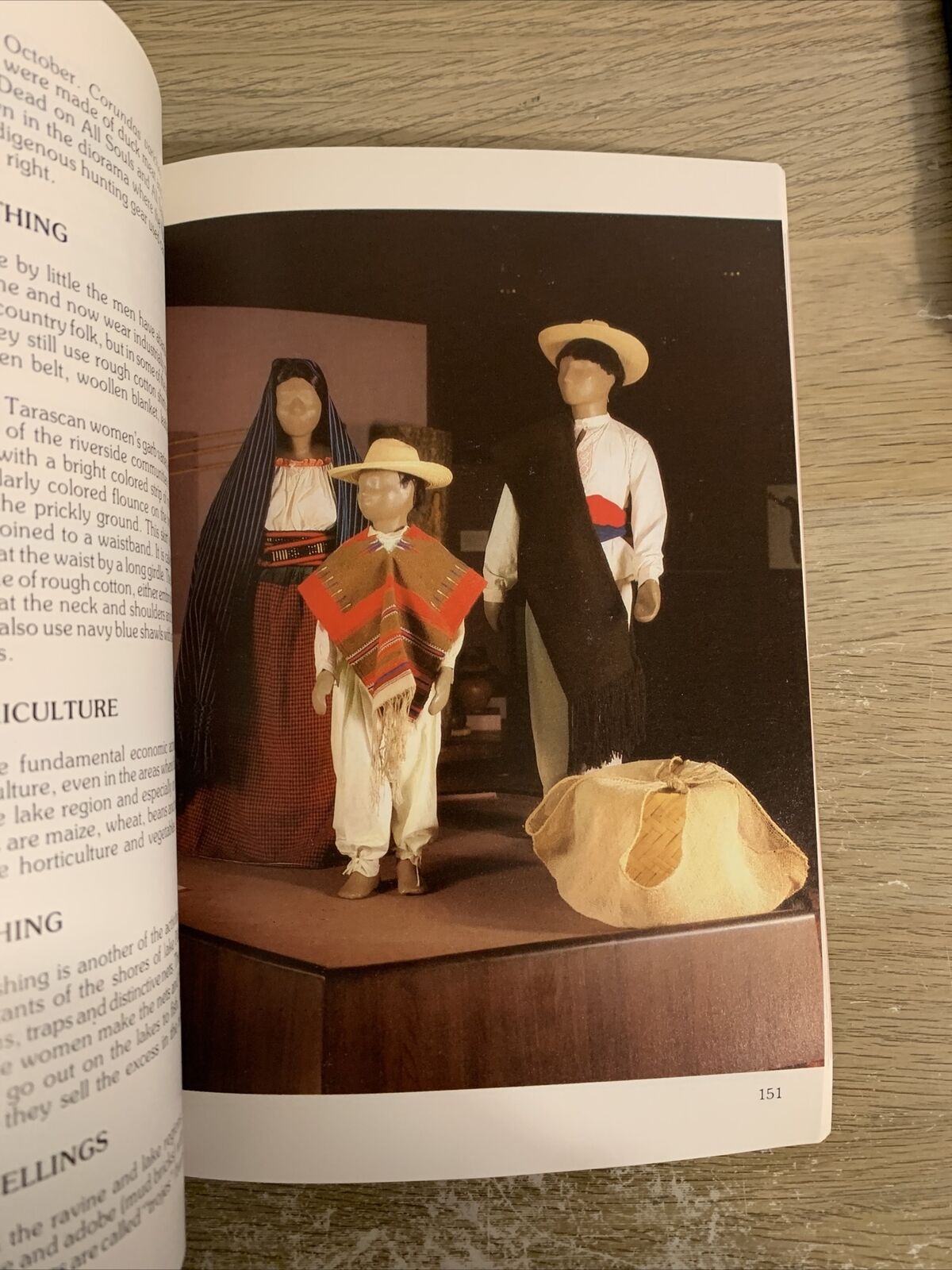 Anthropology national museum - official guide. INAH-SALVAT 1989