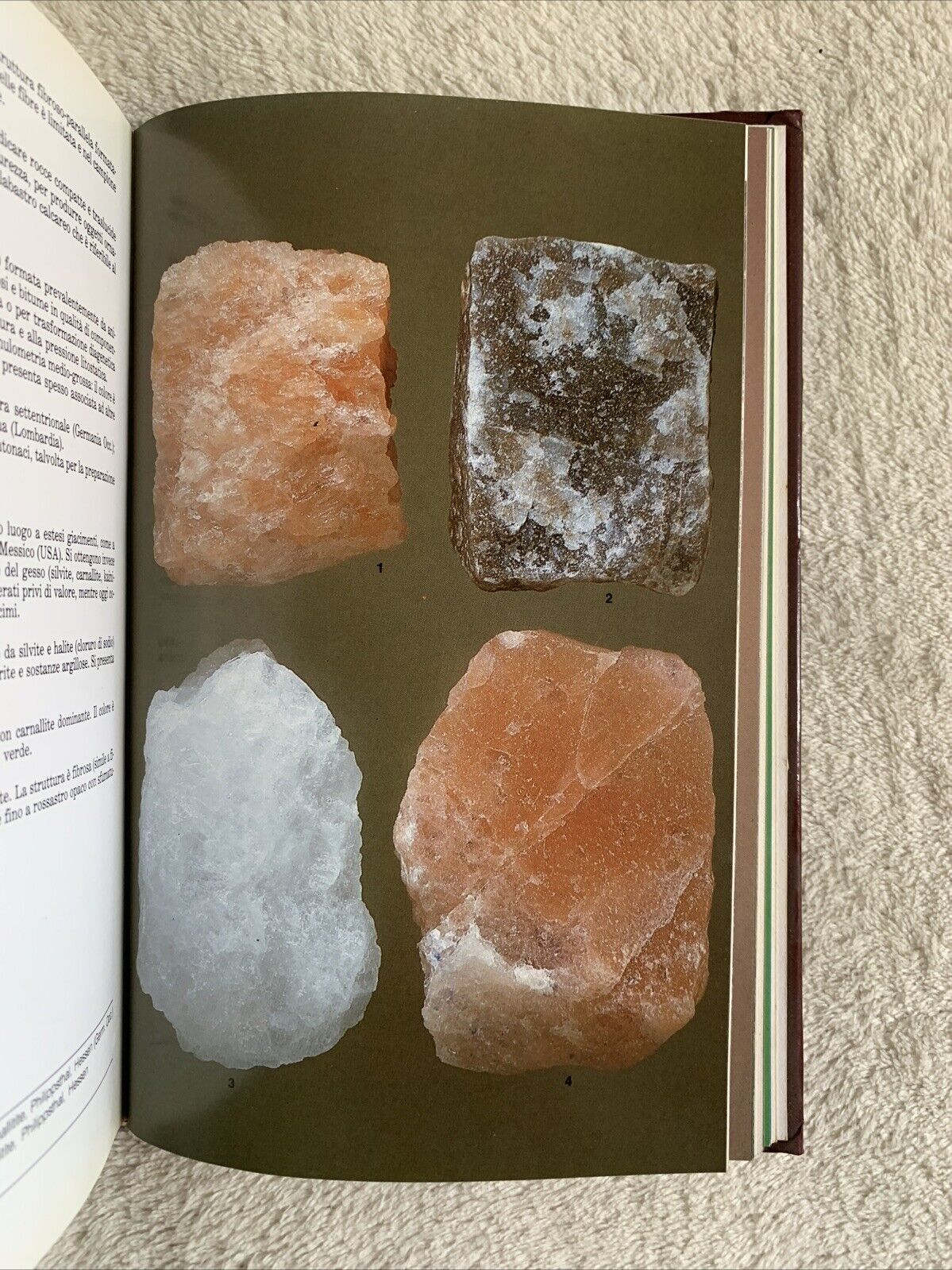 MINERALI GEMME E ROCCIE 1987 GUIDA ILLUSTRATA - W. SCHUMANN DEAGOSTINI