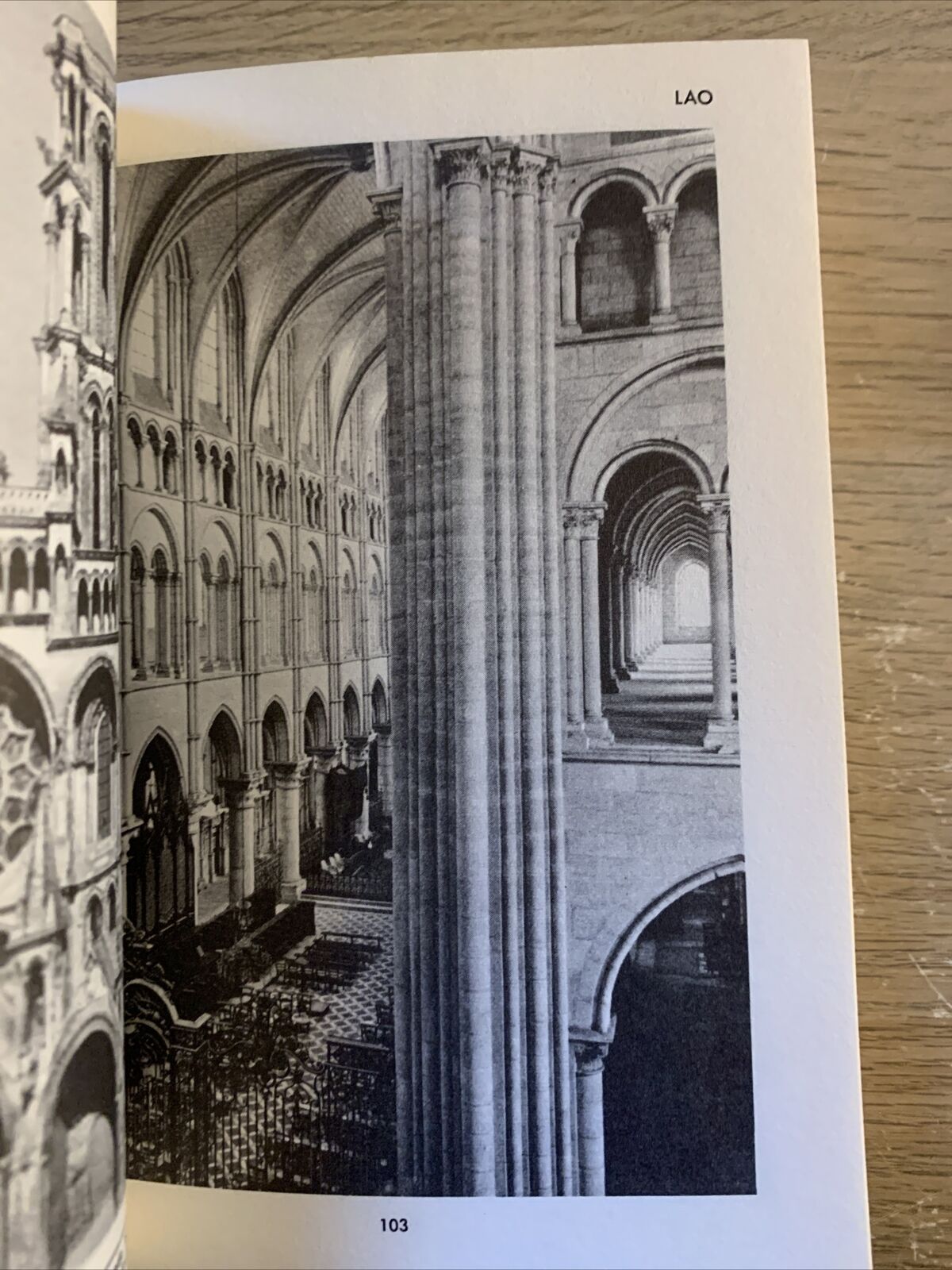 DICTIONNAIRE DES CATHÉDRALES DE FRANCE - LAROUSSE 1971