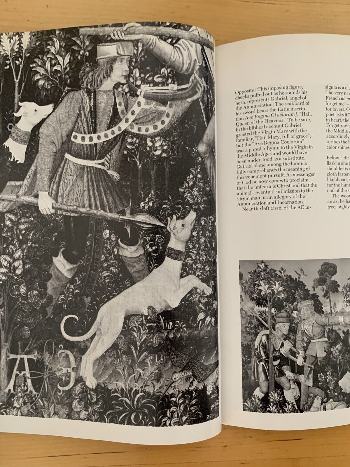 The Unicorn Tapestries, Margaret B. Freeman. Metropolitan Museum of Art 1974