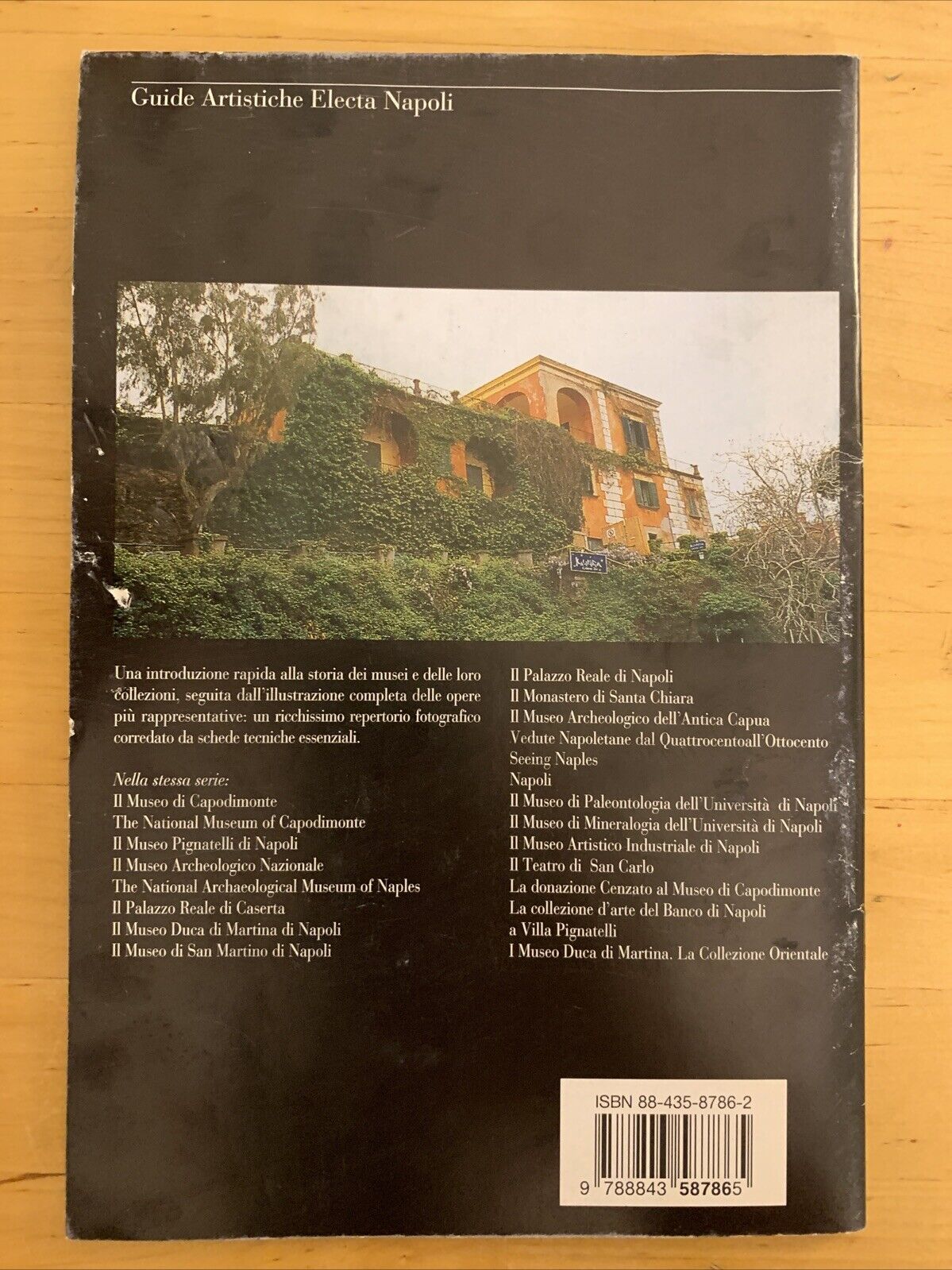 IL MUSEO ARCHEOLOGICO DI PITHECUSAE - ELECTA NAPOLI 1999