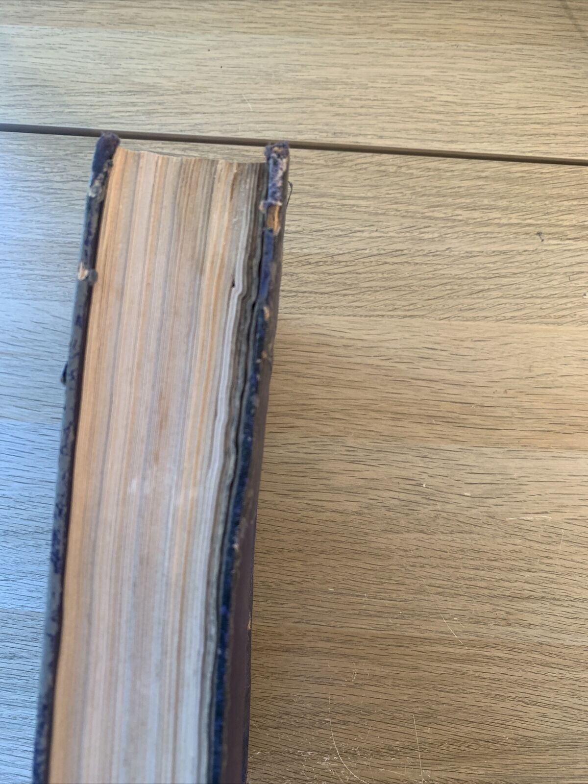 NATURA RIVISTA DI SCIENZE NATURALI. 4 ANNATE RILEGATE A LIBRO. 1936 1937 1938 39