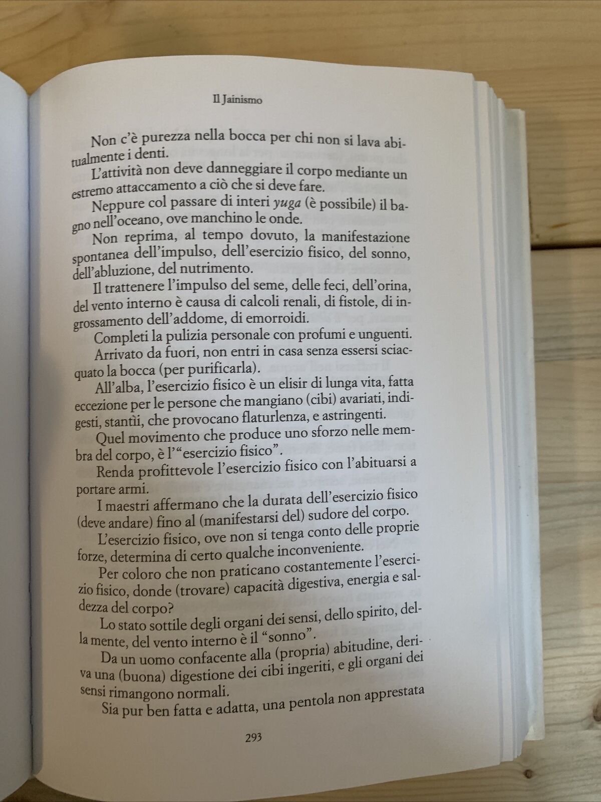 BIBLIOTECA DELLA CIVILTÀ - Araba Fenice. L'india, Pensiero e azione, l'Oriente