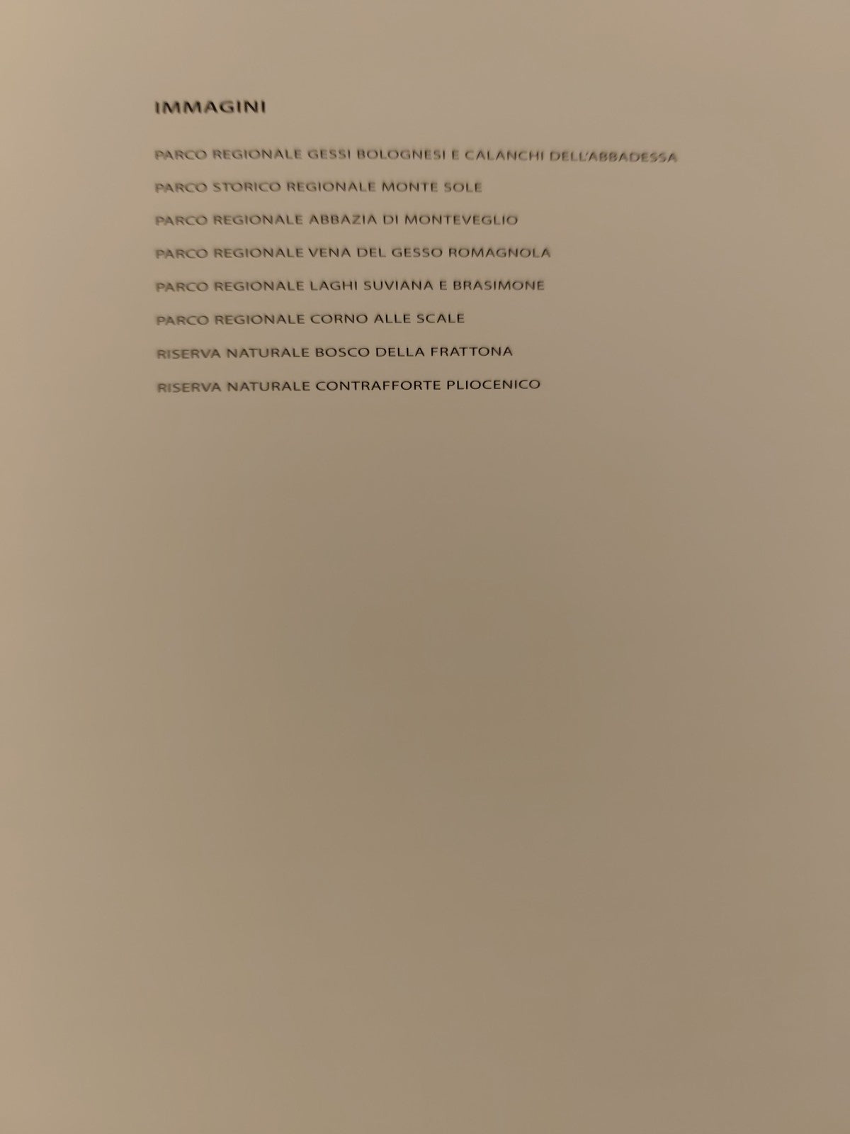 Paesaggi Infedeli Nino Migliori - Damiani 2008