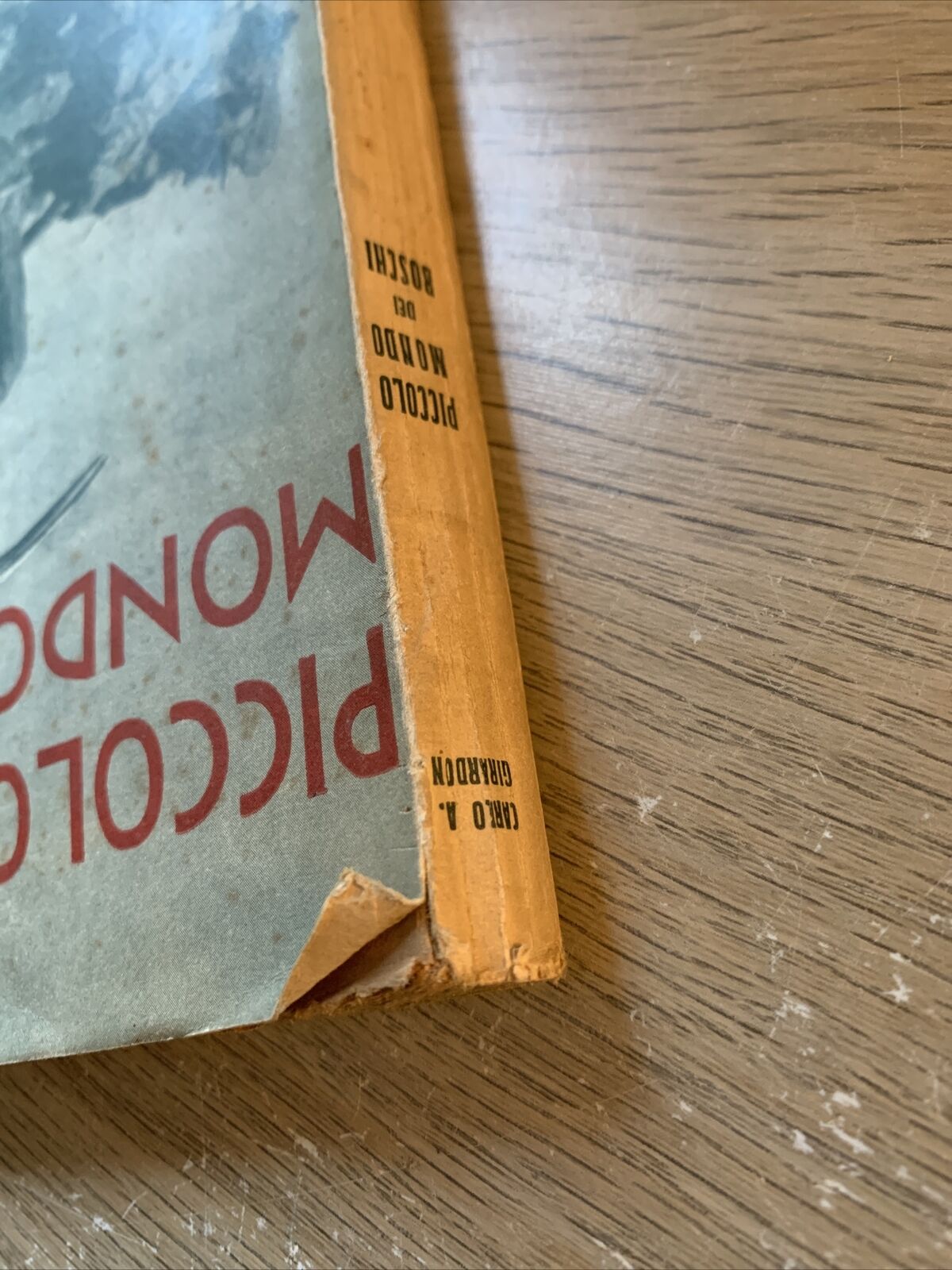 Piccolo Mondo dei Boschi. Carlo A. Girardon. Ceschina 1935