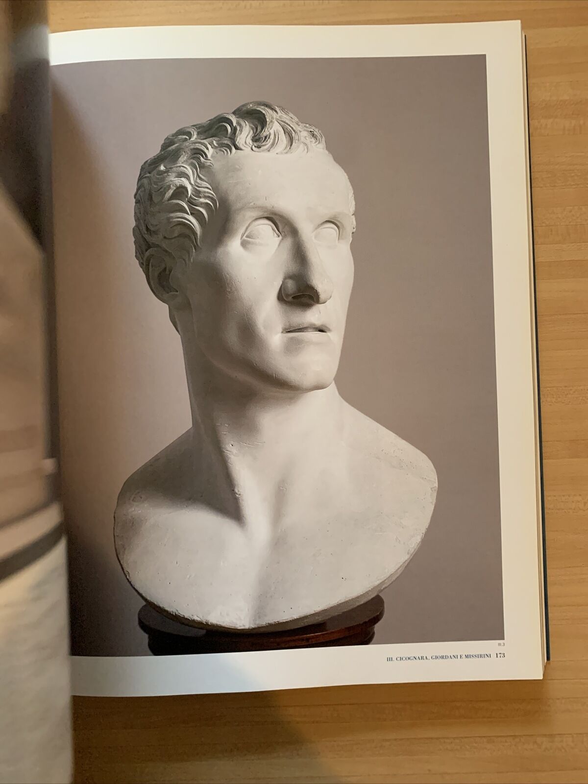 CANOVA. L'ideale classico tra scultura e pittura. Silvana editoriale 2009