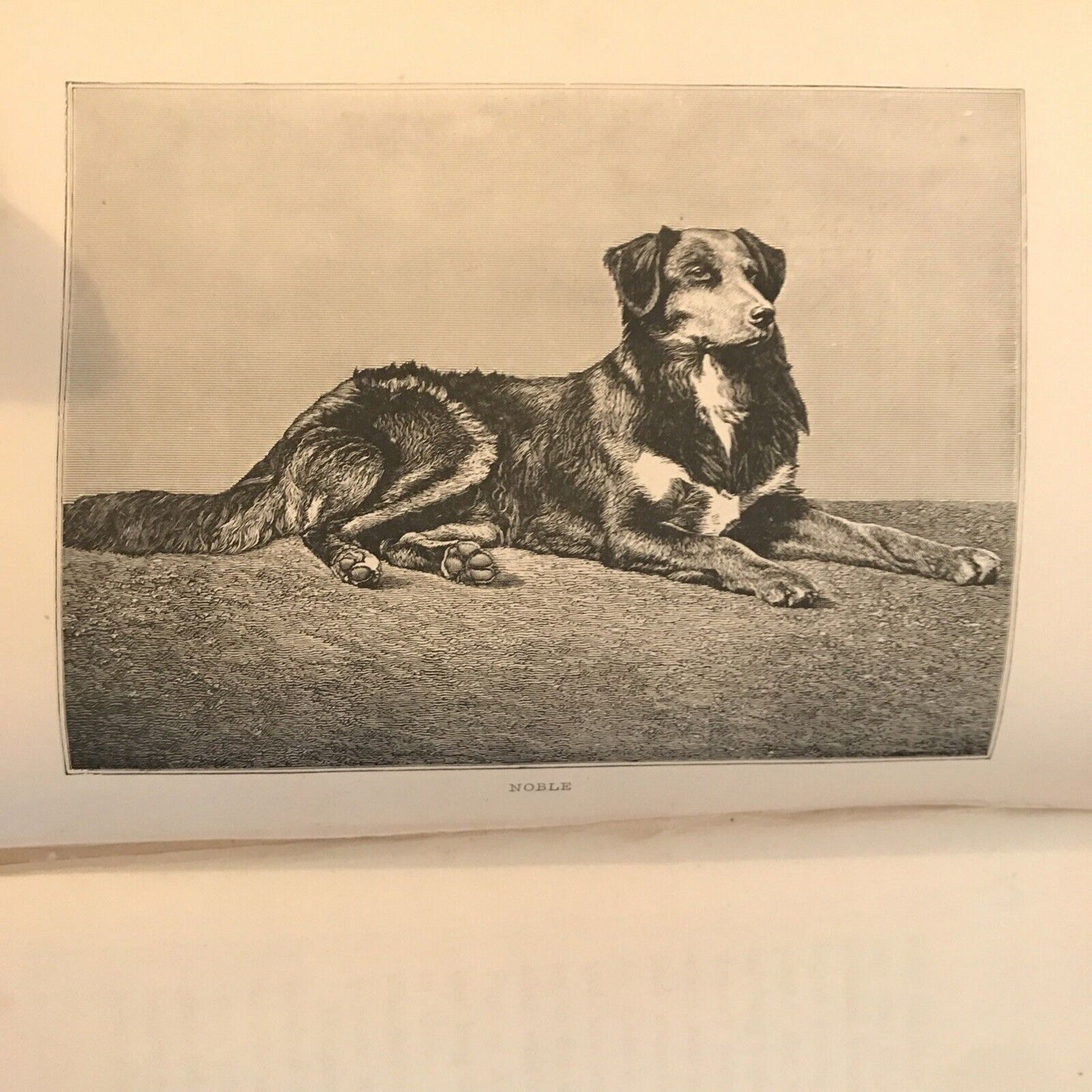 More Leaves from the Journal of a life in the Highlands, 1884 Smith, Elder & co.