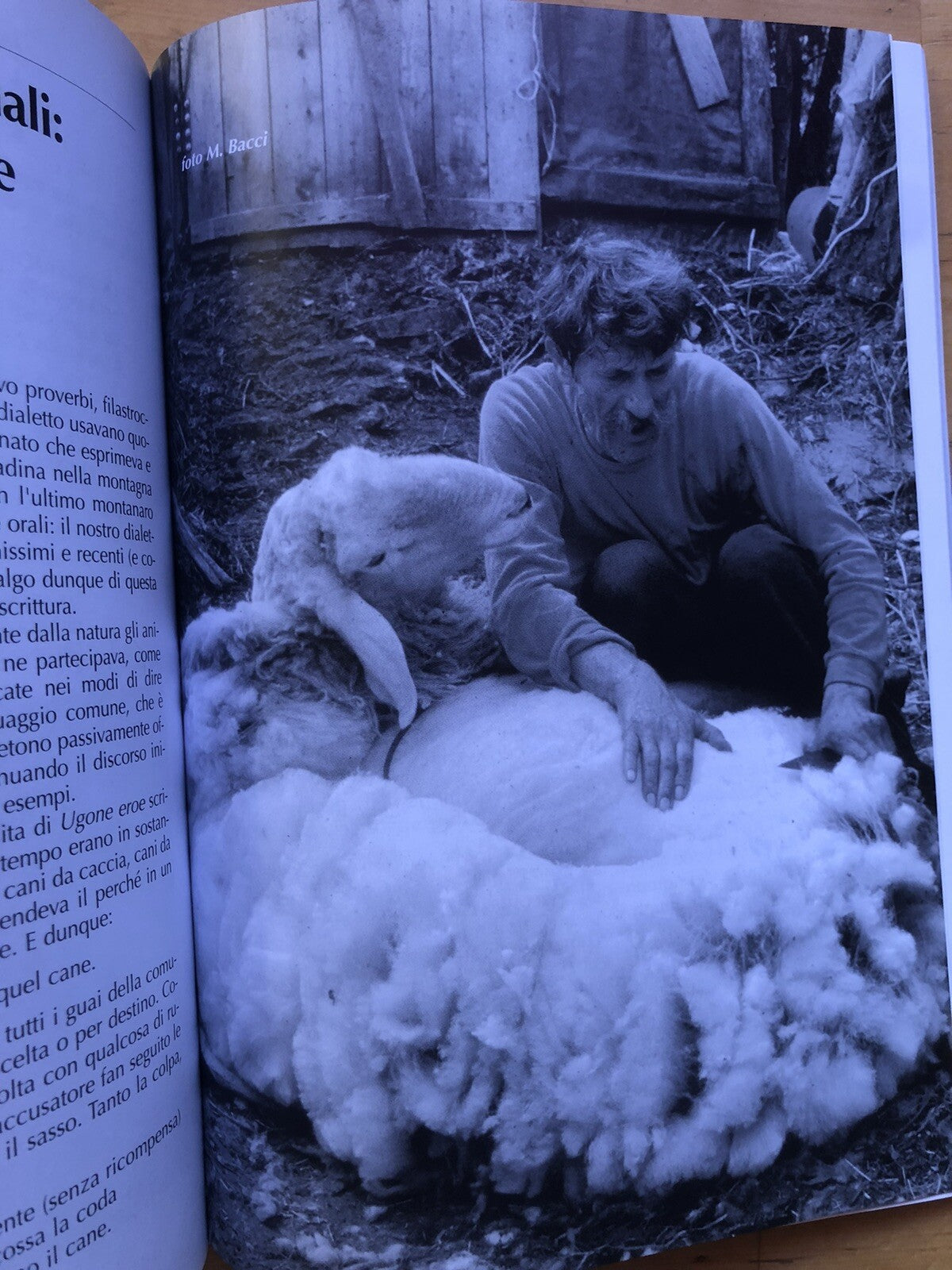 Foia Tonda detti e fatti della montagna d'un tempo A. Simoncini, Savena Setta. .