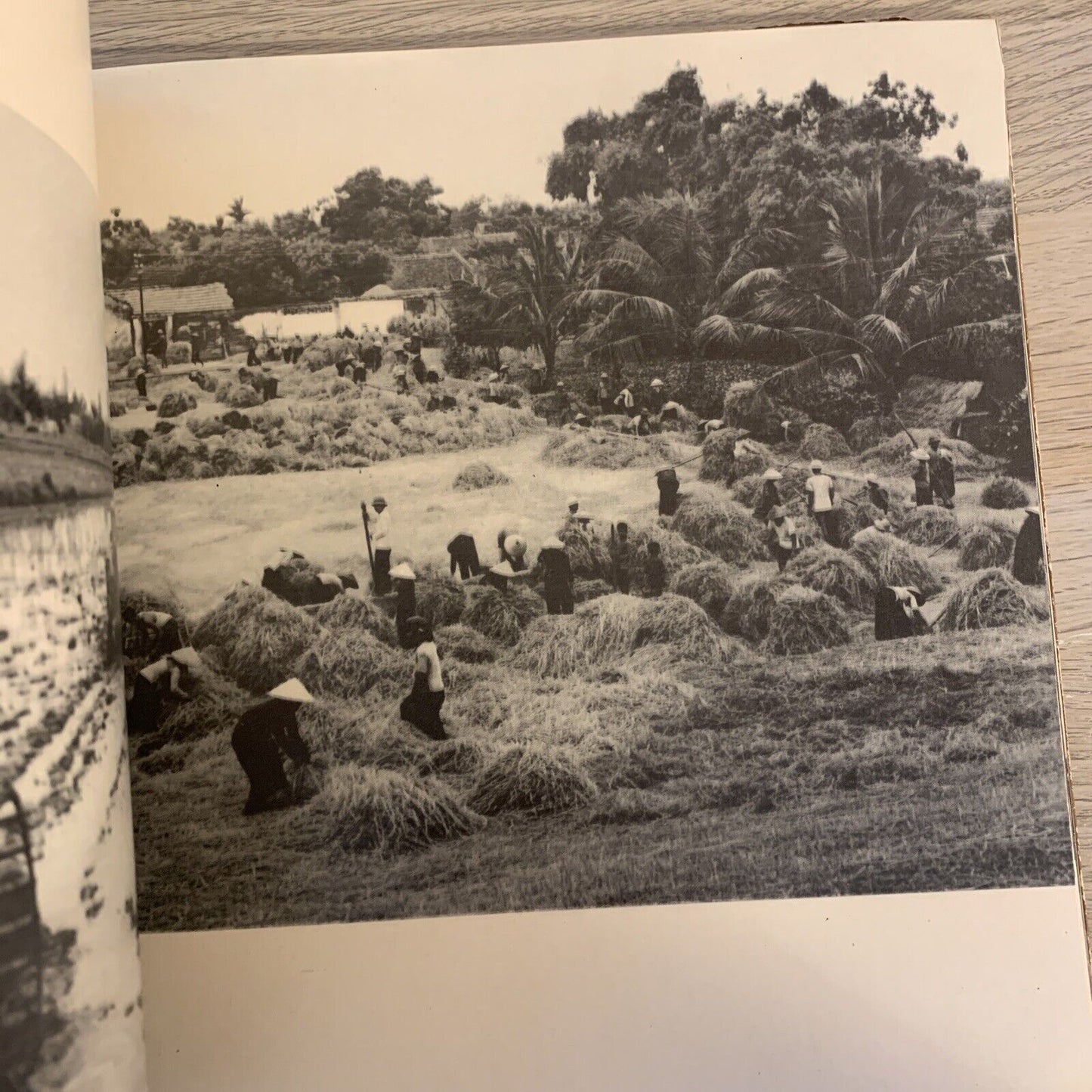 HANOI nha xuat ban van hoi 1975. Hanoi Vietnam Photography *rare*