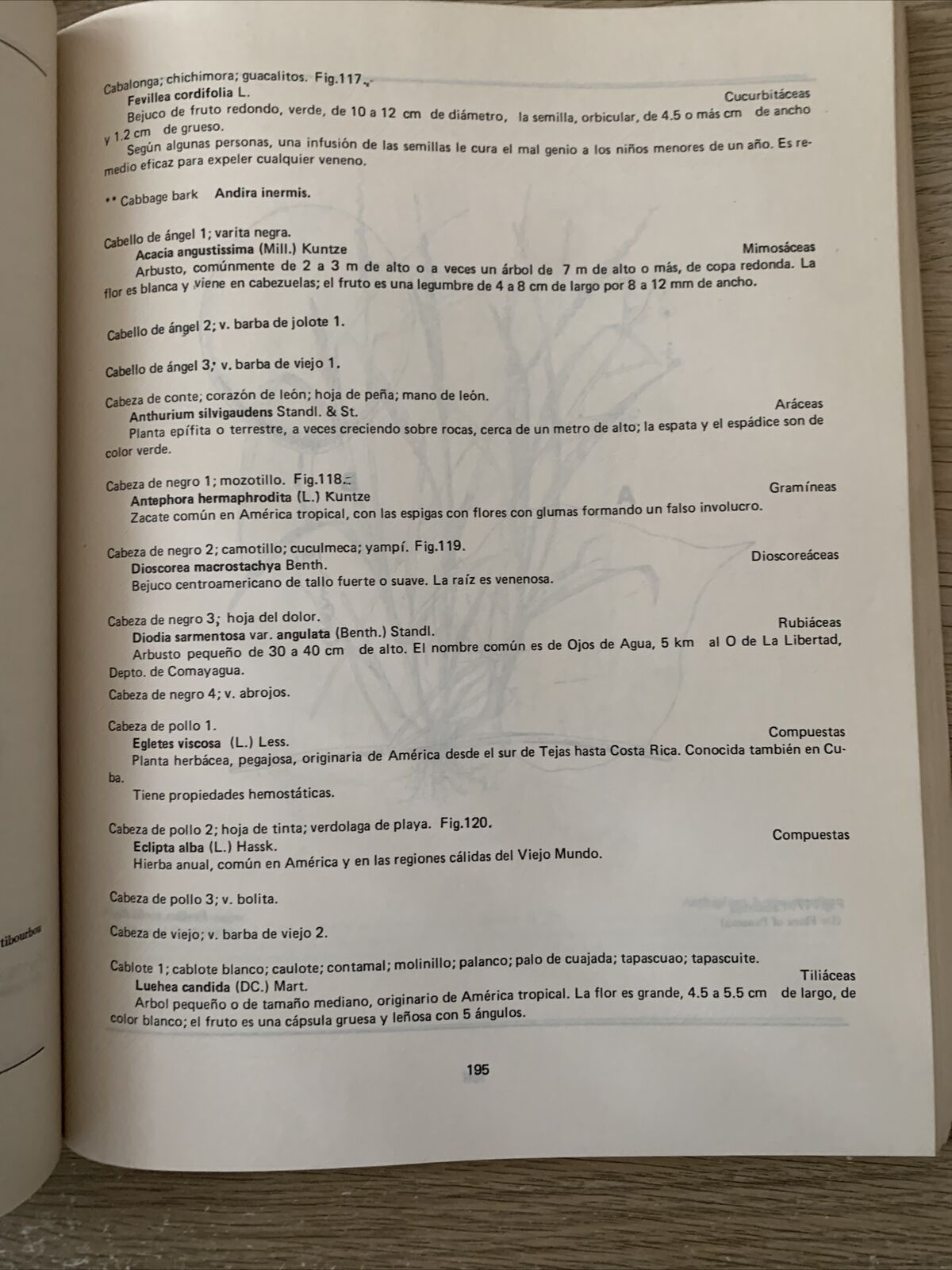 Plantas Comunes de Honduras. Cyril Hardy Nelson. Common Plants of Honduras 1986