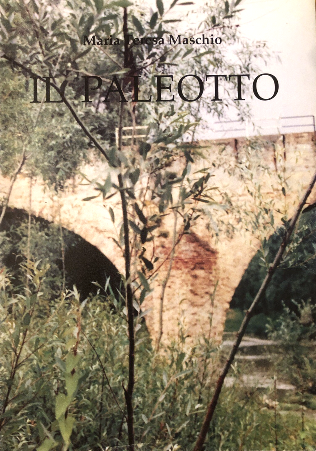 Il Paleotto (Bologna) Maria Teresa Maschio, Re Enzo Editrice 1993