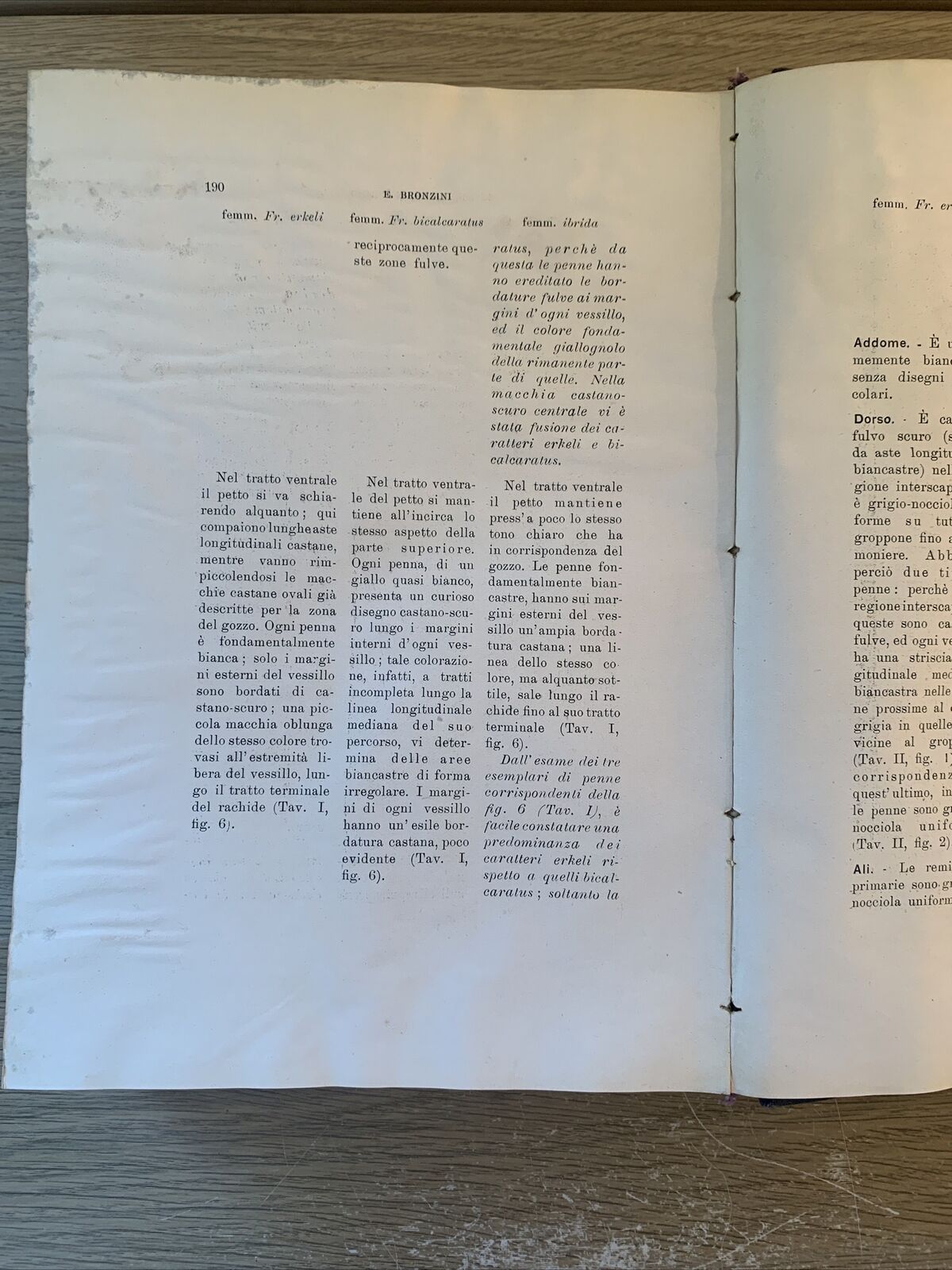 NATURA RIVISTA DI SCIENZE NATURALI. 4 ANNATE RILEGATE A LIBRO. 1936 1937 1938 39