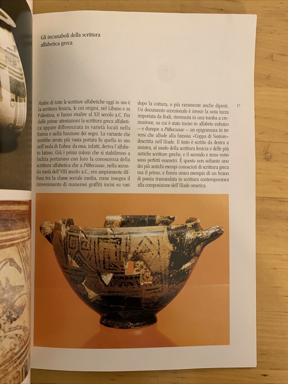 IL MUSEO ARCHEOLOGICO DI PITHECUSAE - ELECTA NAPOLI 1999