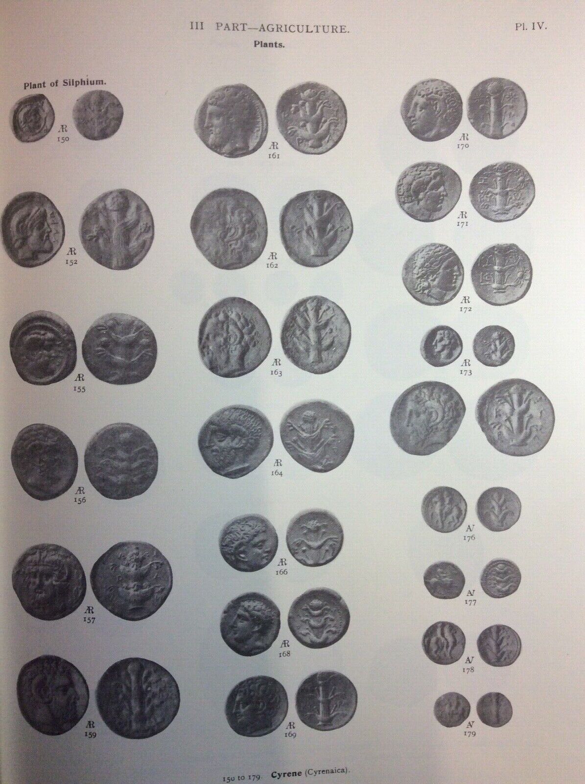 NUMISMATA GRAECA GREEK COIN-TYPES, ANSON, RISTAMPA FORNI EDITORE, TEXT & PLATES