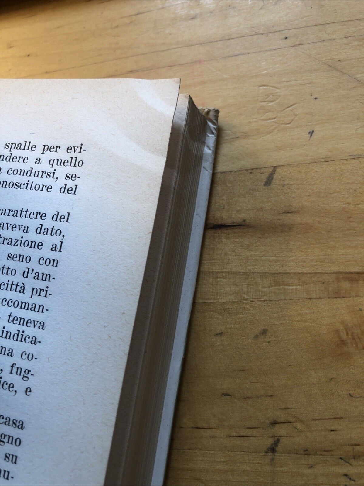 Il mondo di Dolcetta, Mario Pratesi. a cura Bertacchini, Cappelli editore 1963