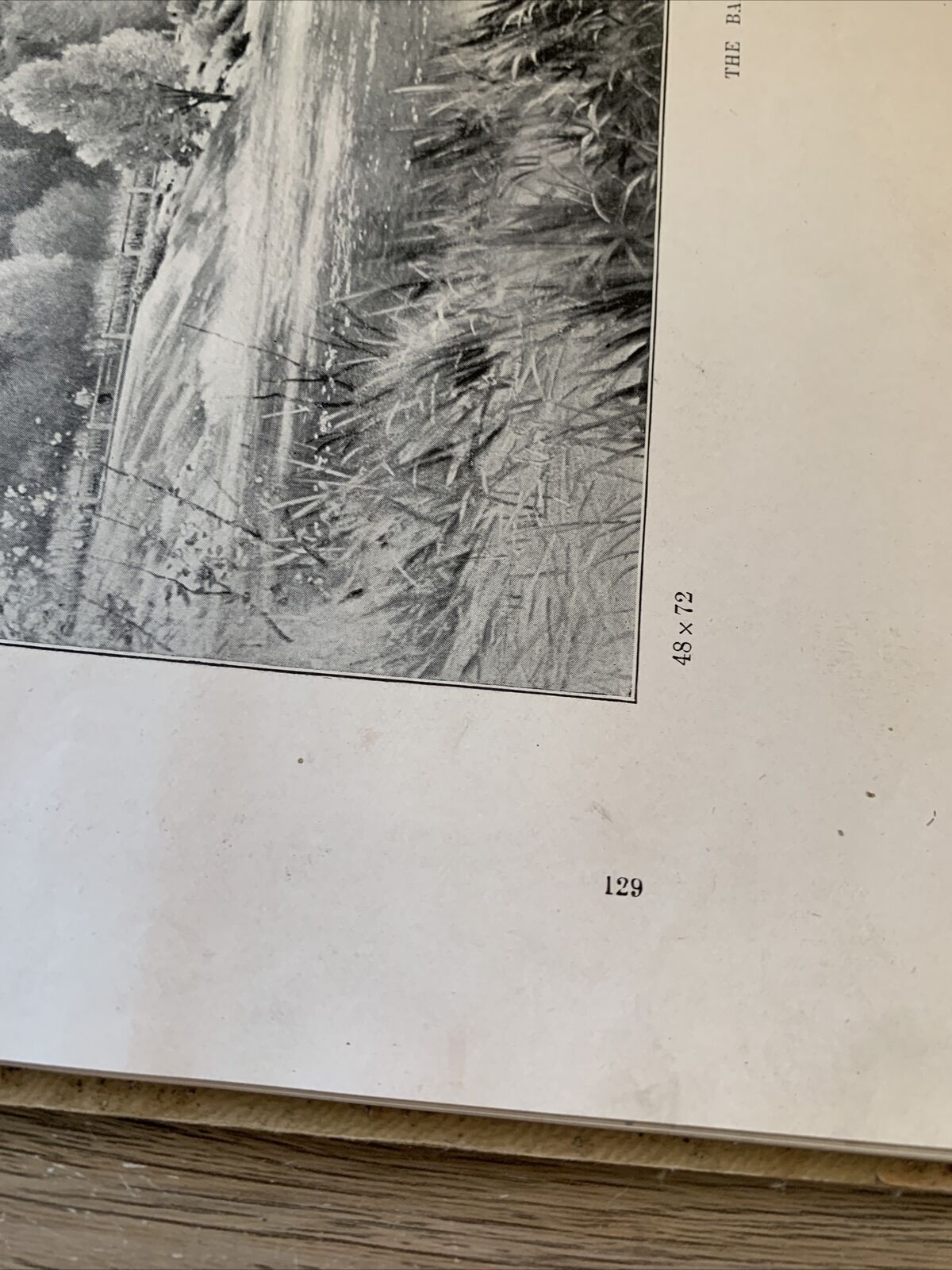 Royal Academy Pictures 1898