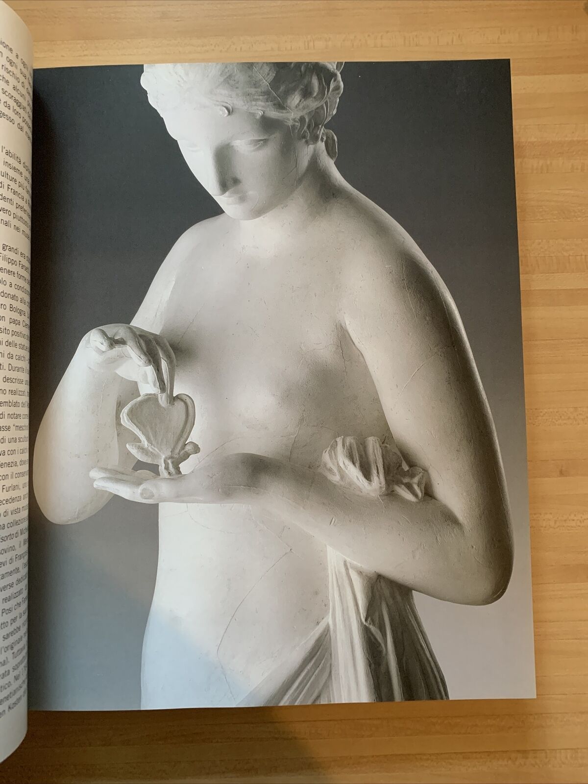 CANOVA. L'ideale classico tra scultura e pittura. Silvana editoriale 2009