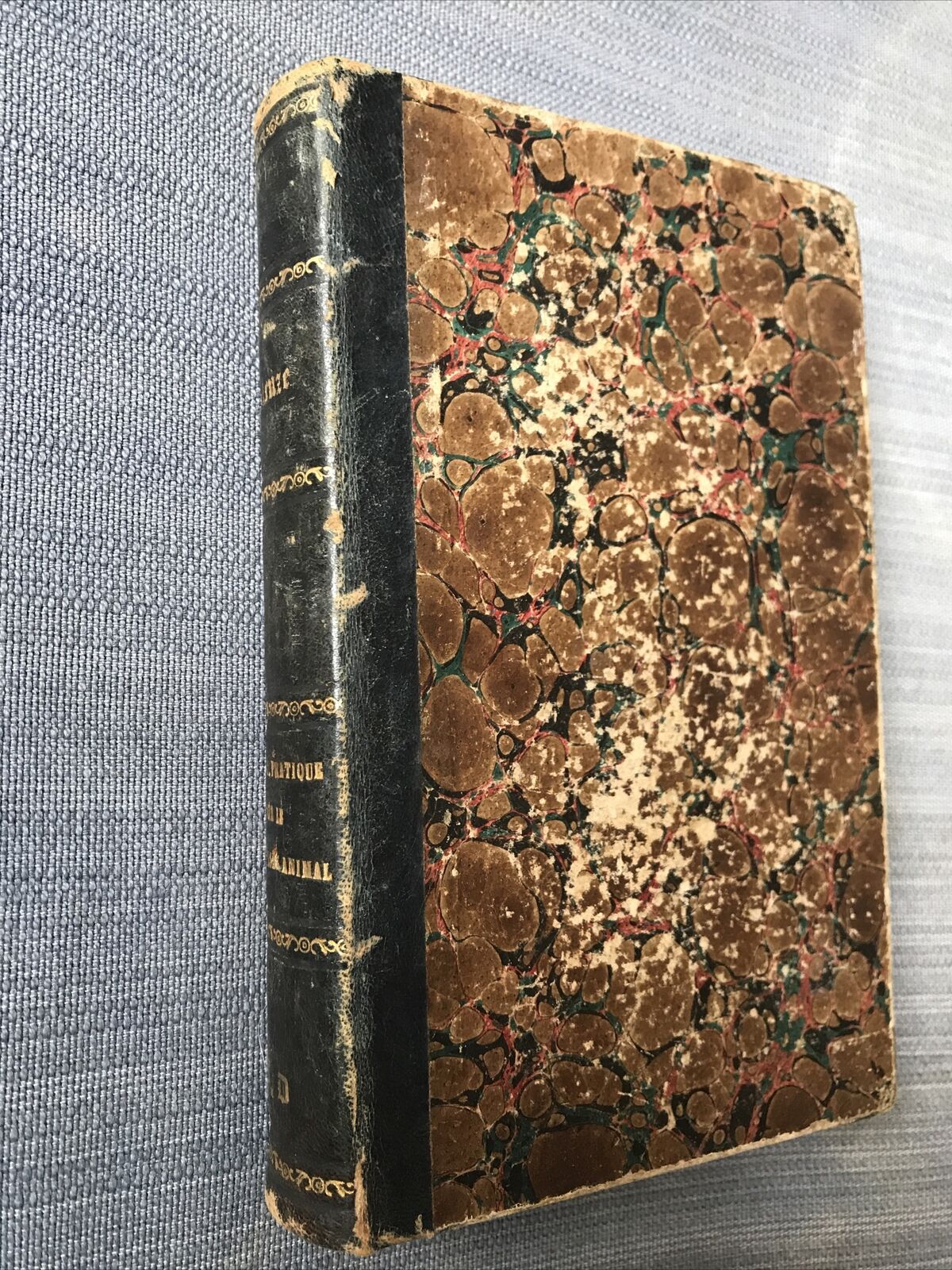 Instruction pratique sur le magnétisme animal J.-P.-F. DELEUZE 1853. Germer ed.