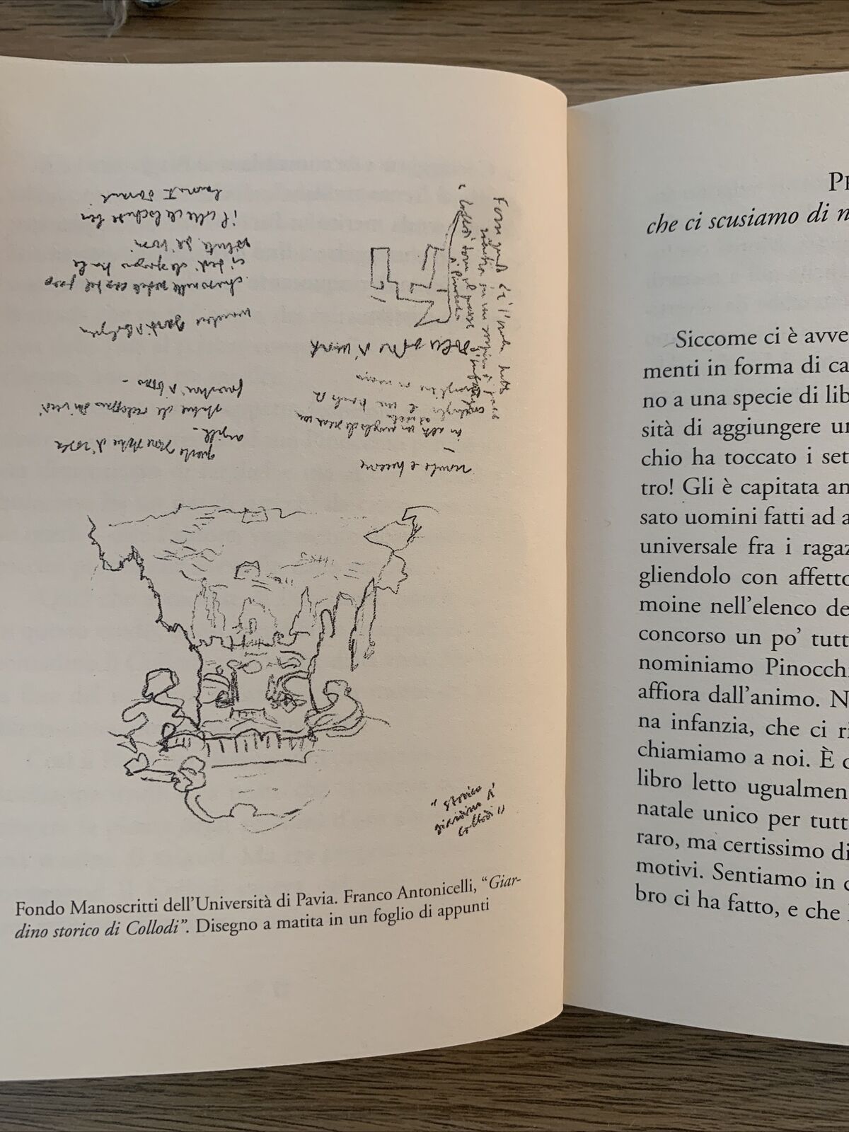 PINOCCHIO HA SETTANT'ANNI - Franco Antonicelli. Università degli studi di Pavia