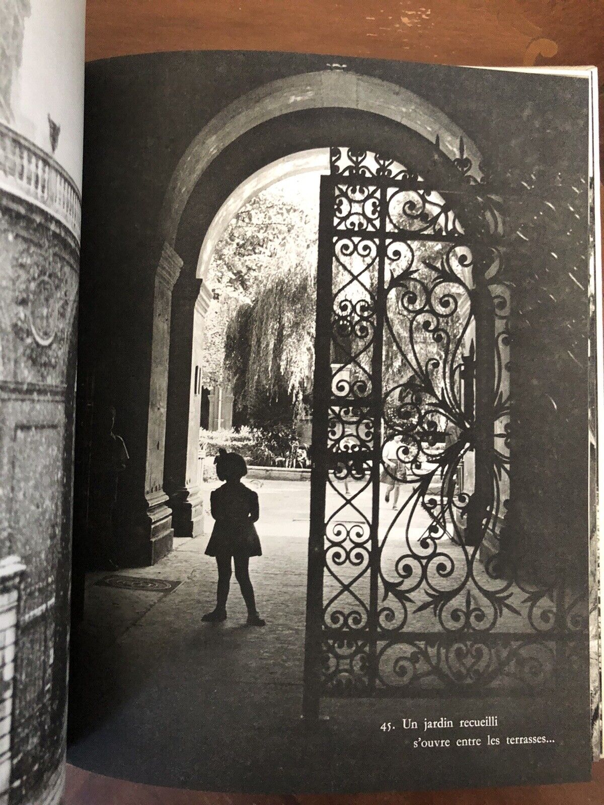 LYON ET SES ENVIRONS - JEAN DENIAU, ARTHAUD 1963