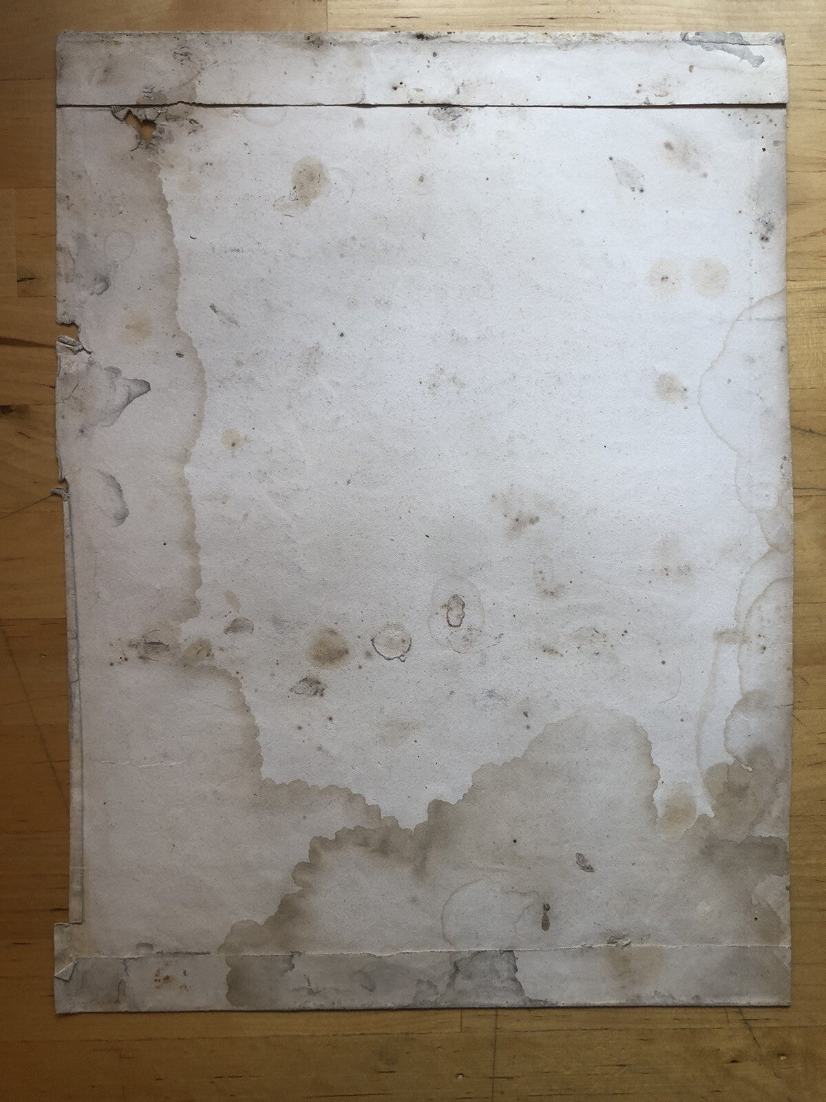 Incisione stampa antica B. V. addolorata Bologna chiesa dei Servi - Rinaldi F.