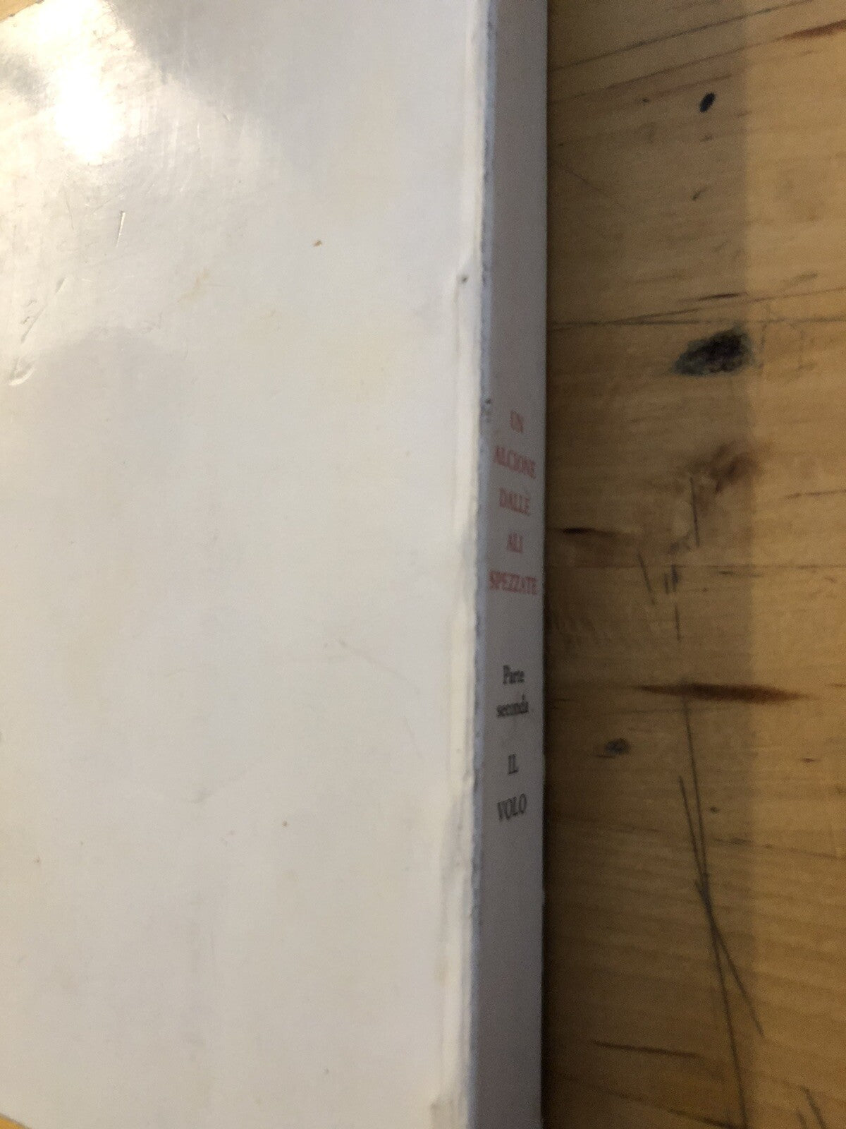 Un alcione dalle ali spezzate, parte seconda Il Volo, Sergio Nesi **autografato*