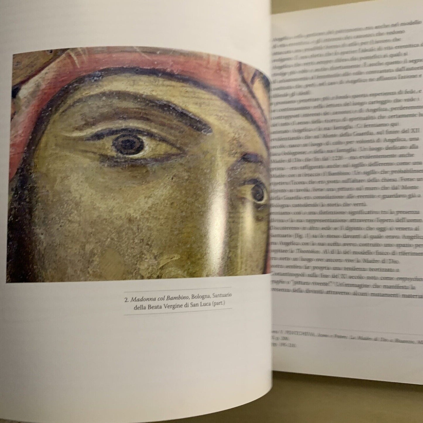 MEMORIE DELL'ACCADEMIA DEGLI INDOMITI - Michele Danieli 2012 #