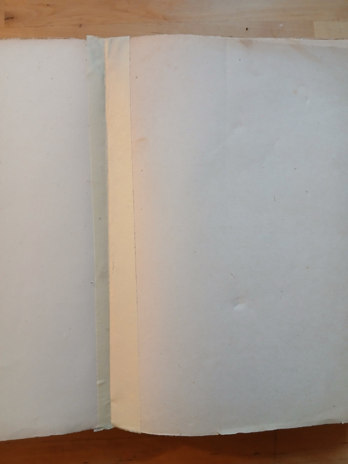 Darwin Carlo - Diario di un naturalista giramondo - Gamma ed. 1945