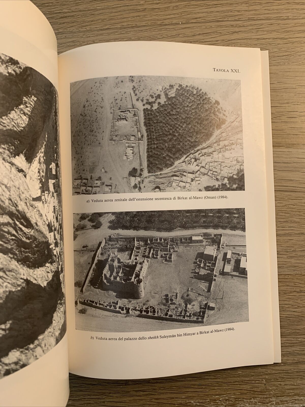 L'UOMO E L'AMBIENTE NELLA PENISOLA ARABA. PAOLO M. COSTA 1991 accademia Lincei