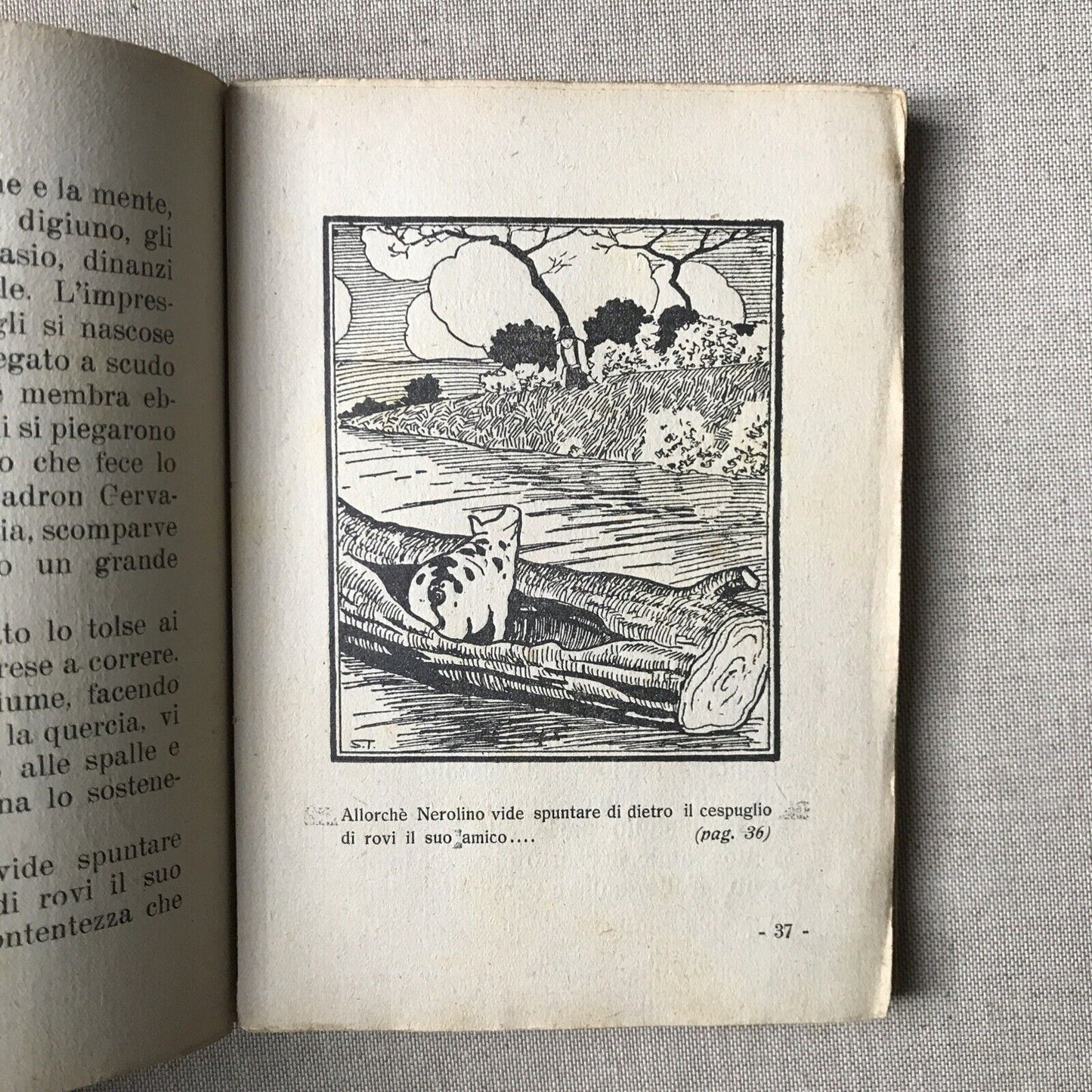 Geva e Nerolino - Romanzo per fanciulli. Egle Grimozzi, editoriale Biagini 1923