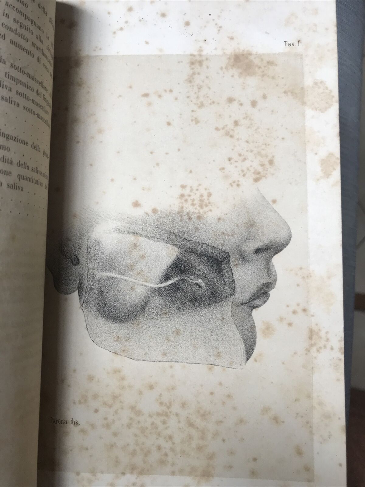 LA SALIVA UMANA, Eusebio Ohel 1864. **MEDICINA - MOLTO RARO INTROVABILE**